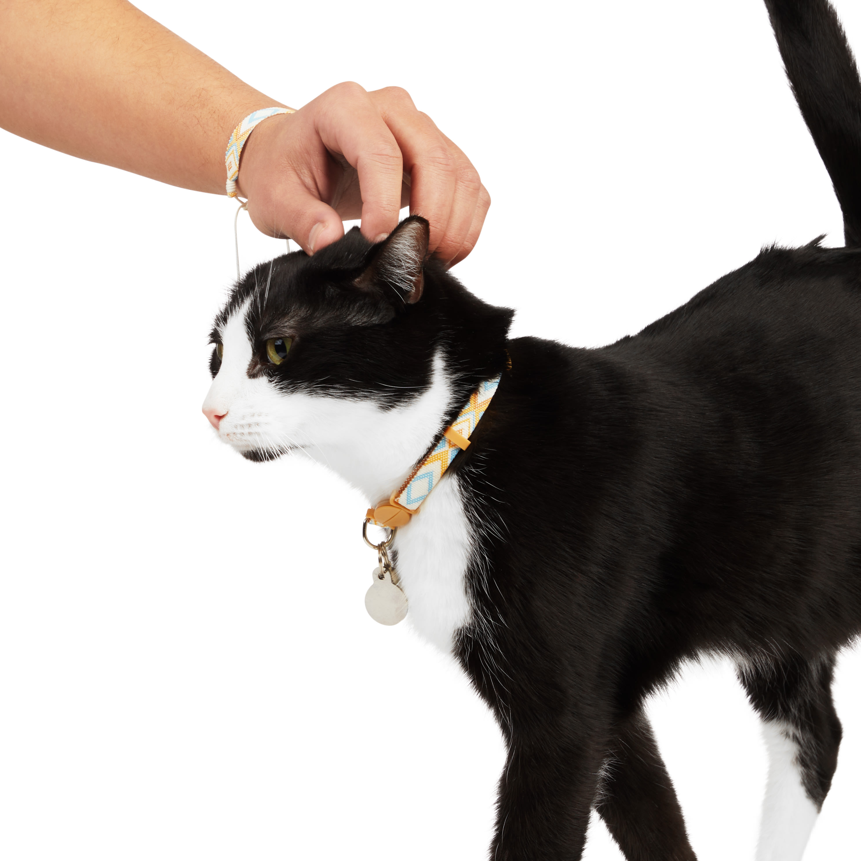 Matching cat fashion and owner collar