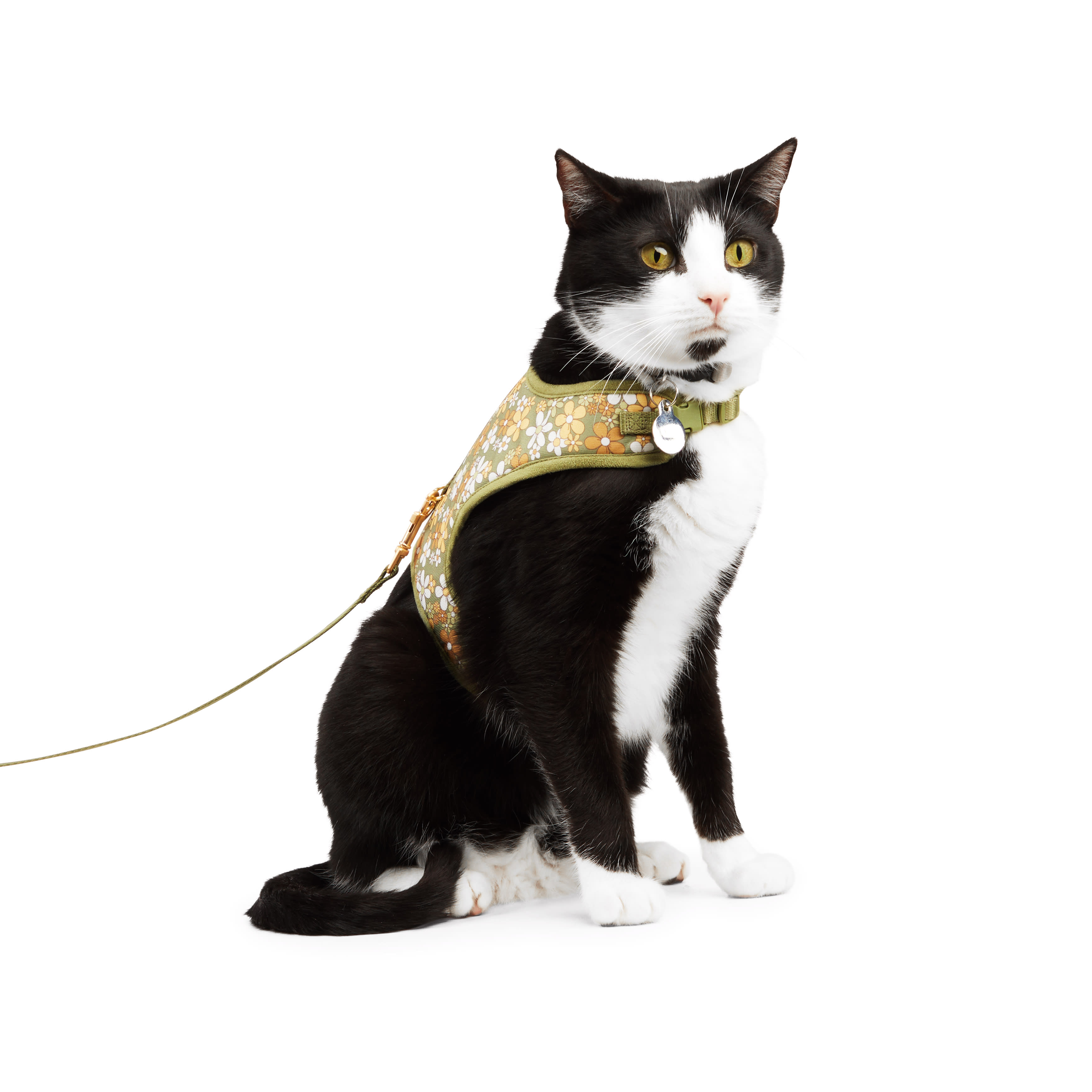 Petco 2025 cat harnesses