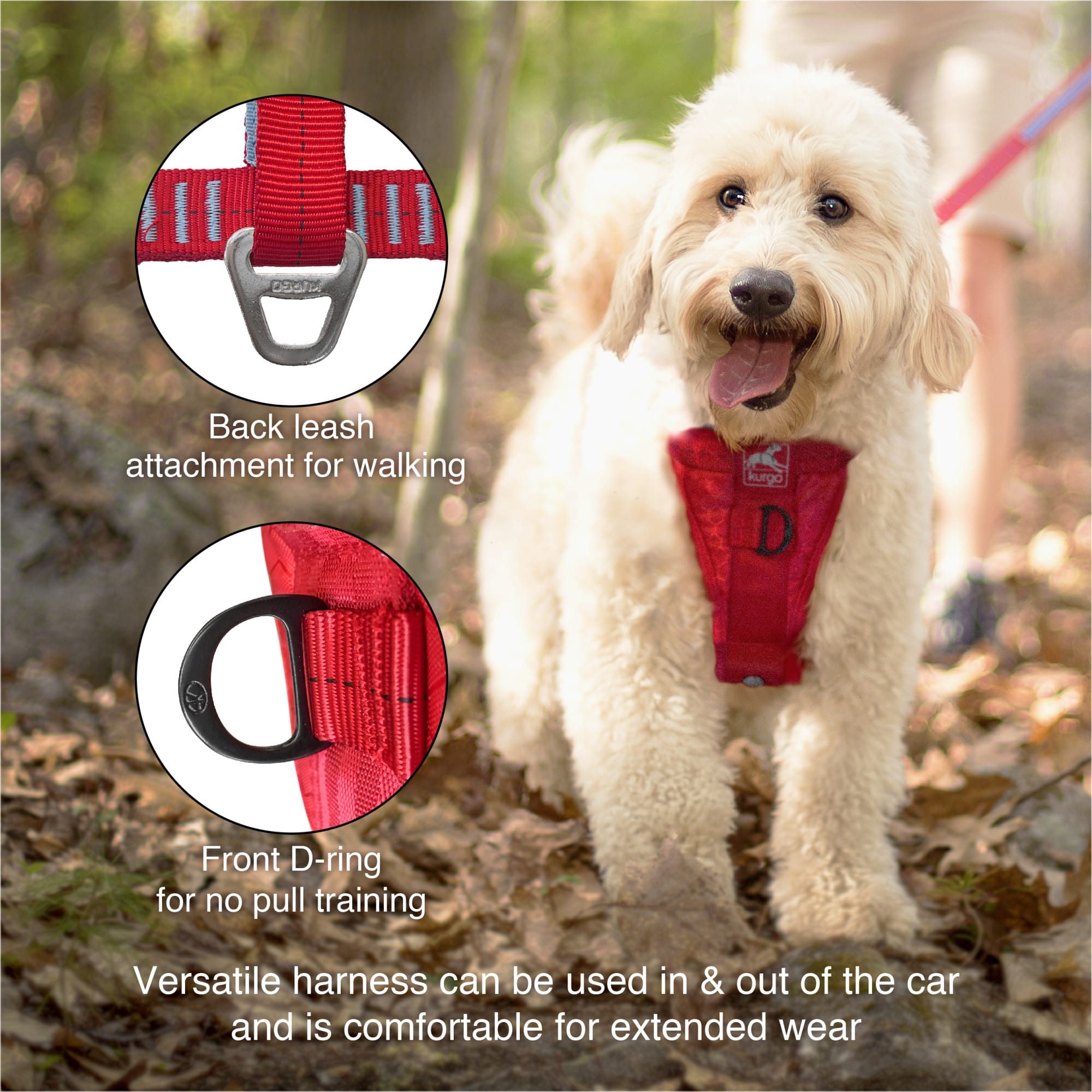 Winkel de Beste Betaalbare Autotuig Voor Hond Kurgo Enhanced Strength Tru- Fit Smart Black - Gratis Verzending