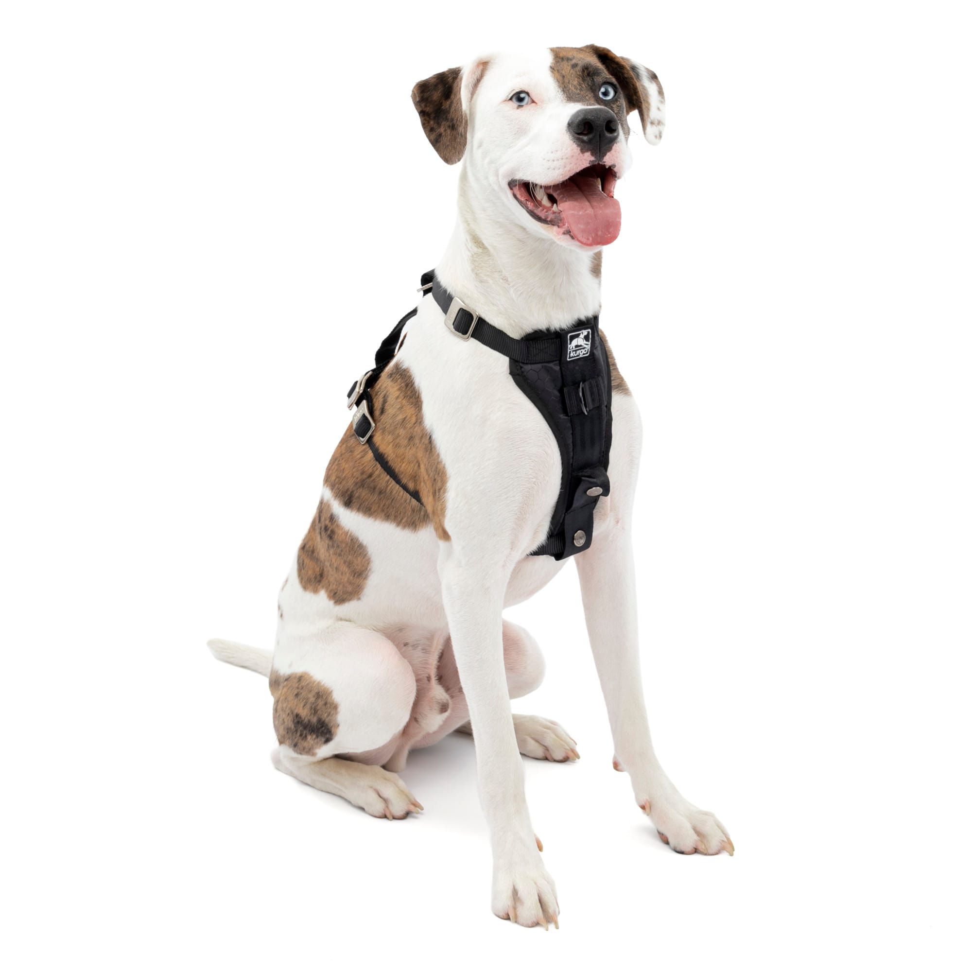 Kurgo Black Tru-Fit Smart Enhanced Strength Dog Harness, Small