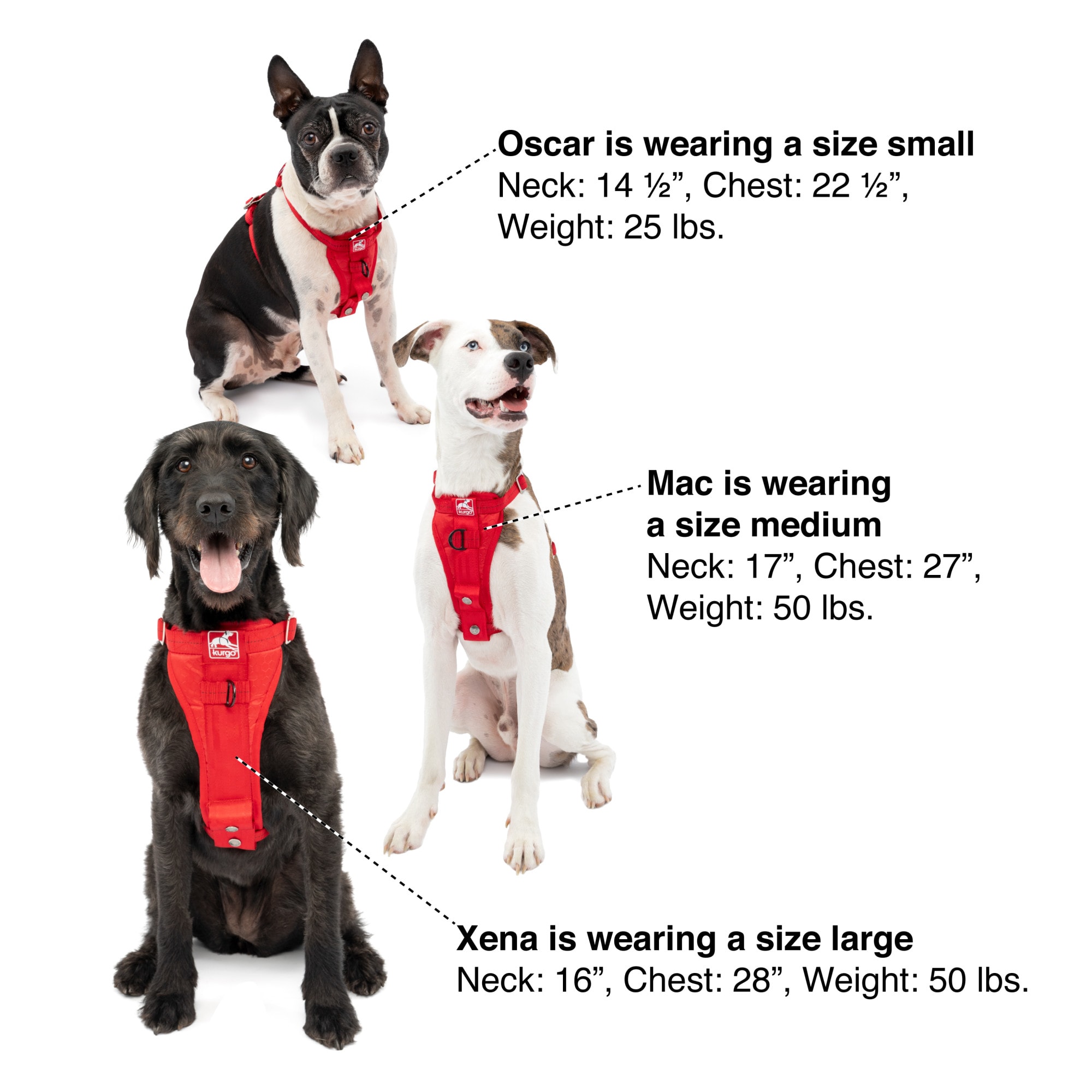 Kurgo journey harness on sale petco