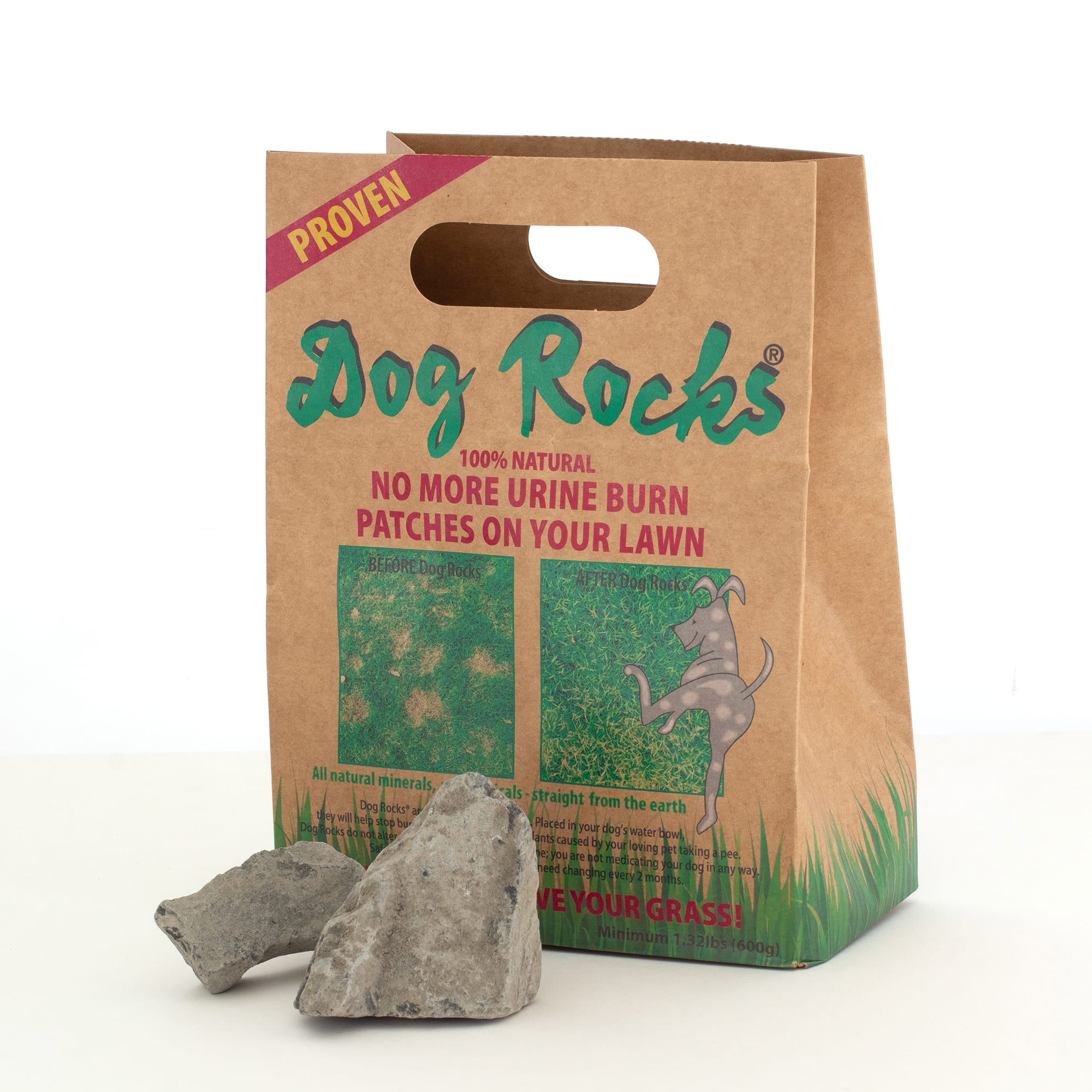 Dog store water rocks