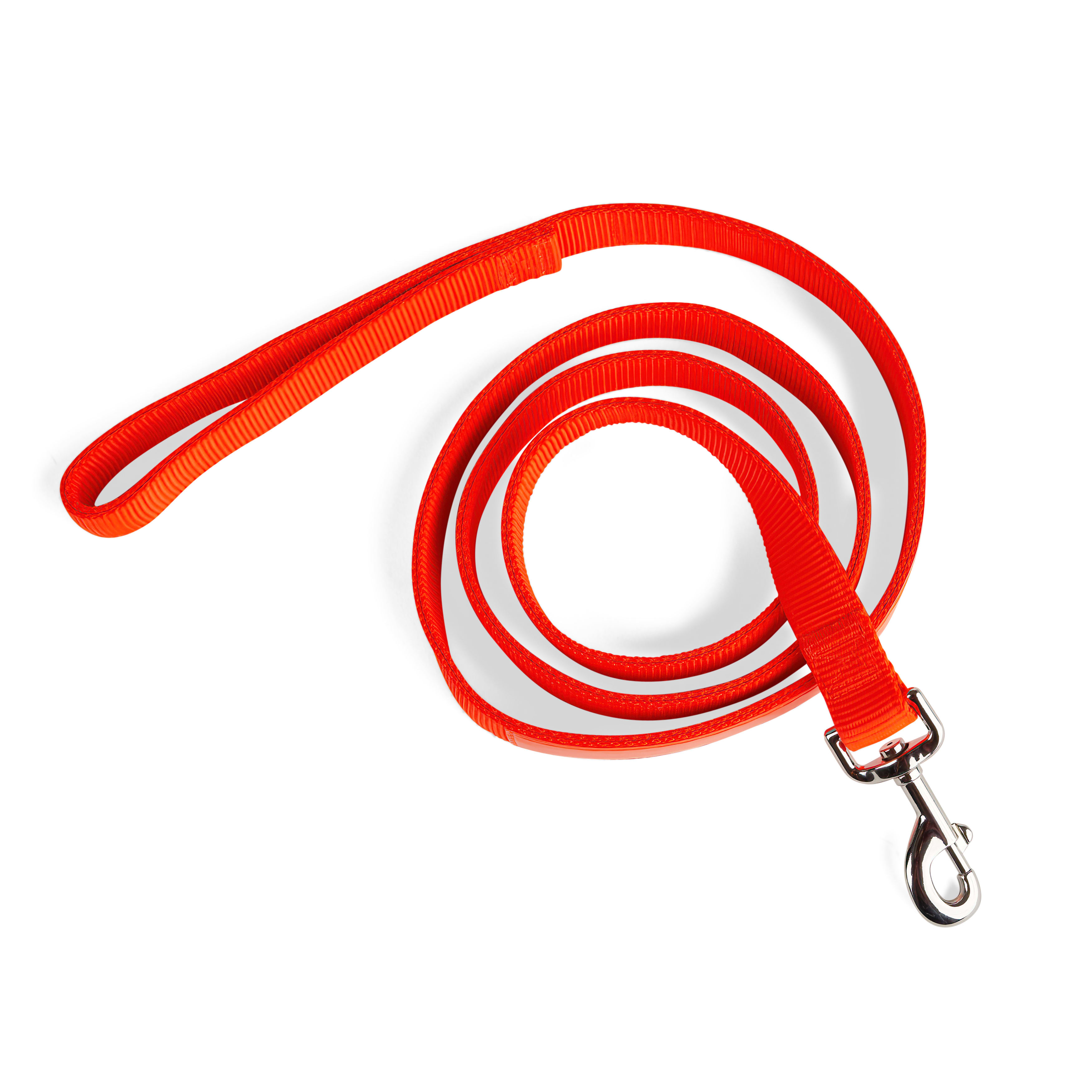 YOULY Bright Orange Reflective Dog Leash, 6 ft. | Petco