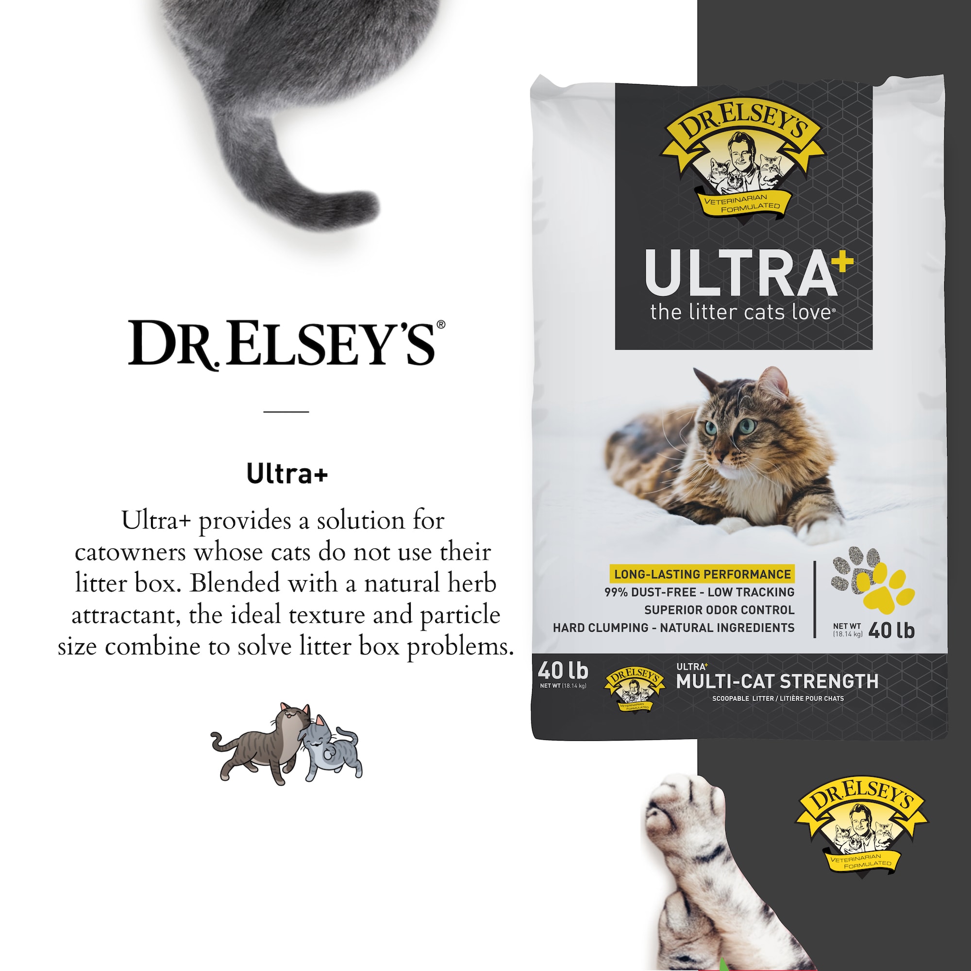 Pet Supplies Dr Elsey's Cat Attract Litter Reviews Dr Elsey