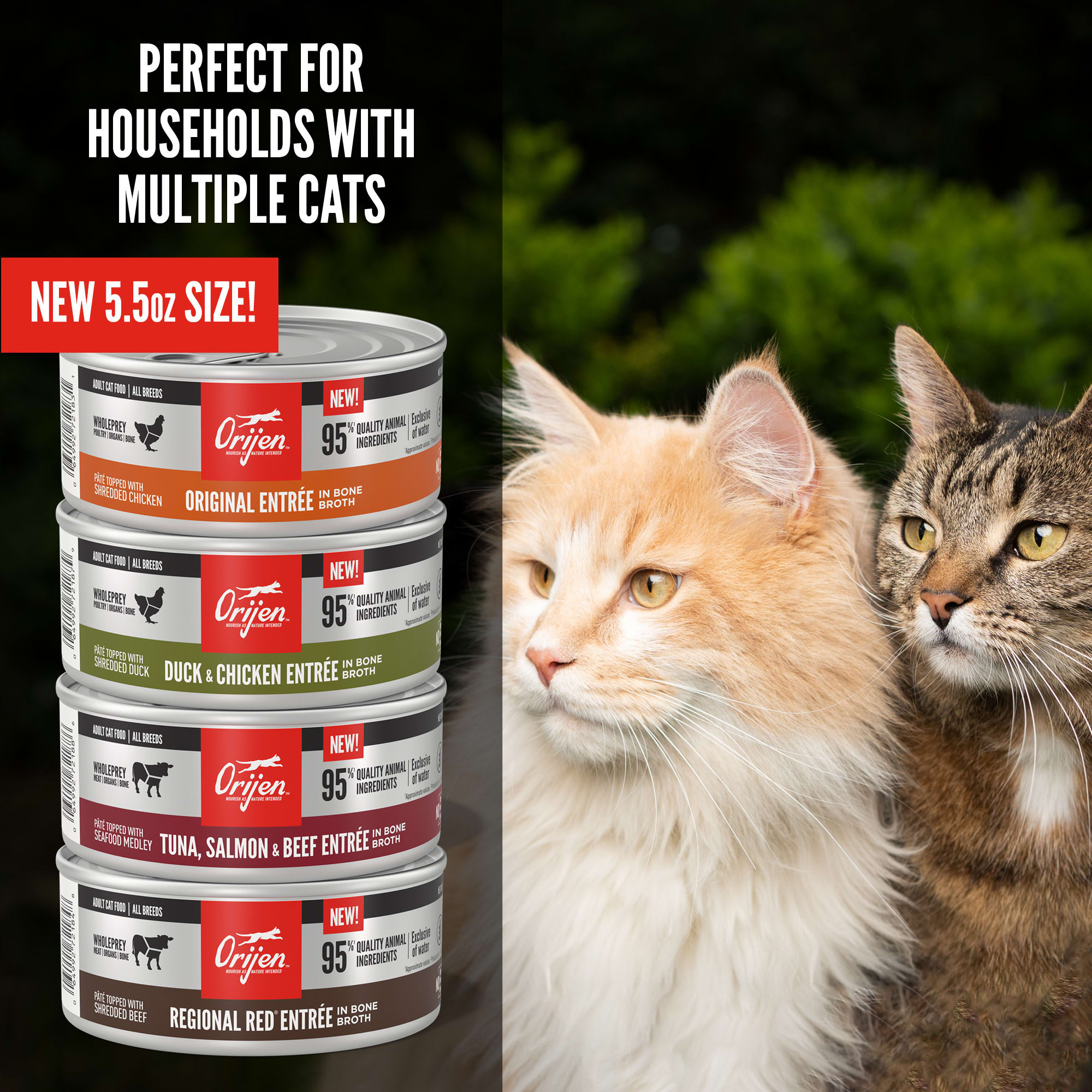 Orijen cat best sale food petco