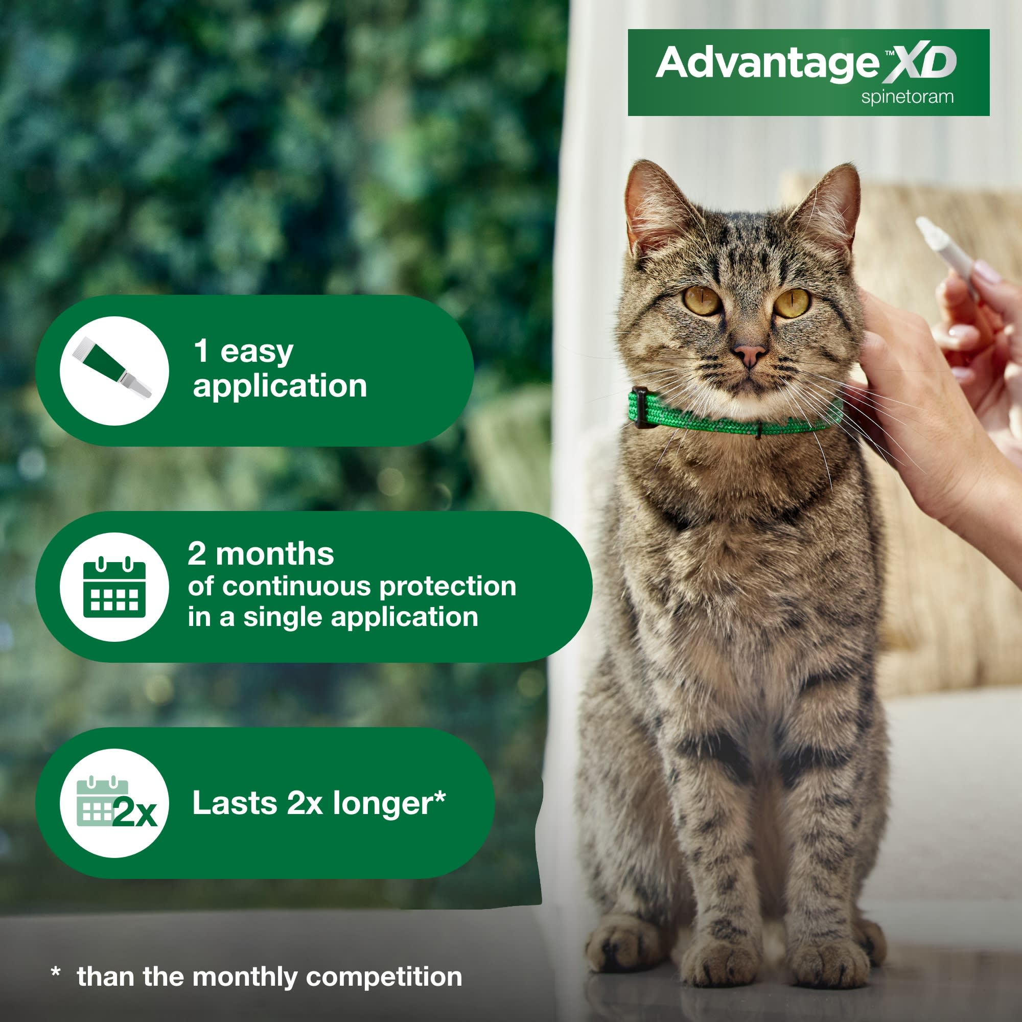 Petco advantage small cat sale