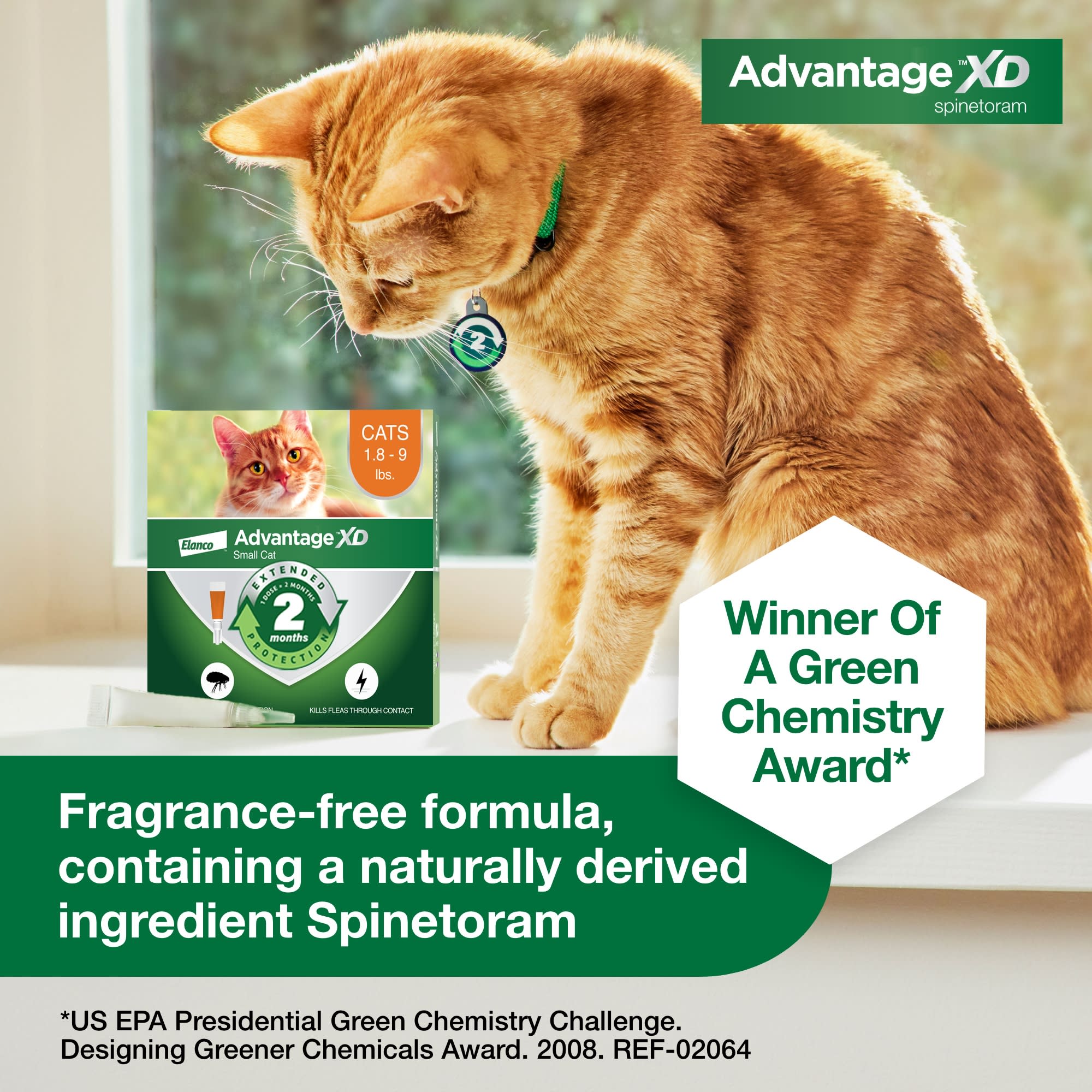 Advantage ii hotsell for cats petco