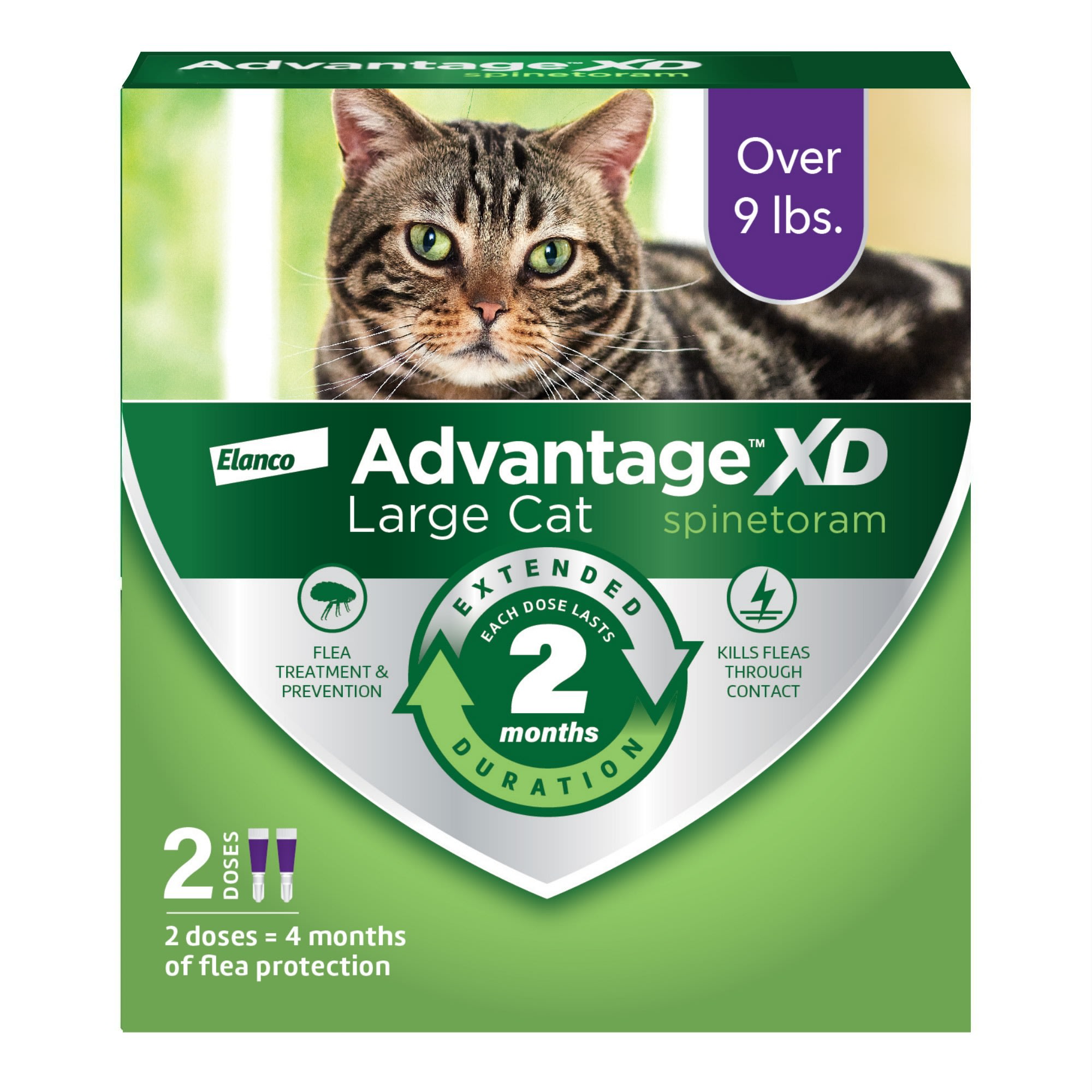 Bayer advantage 2 for cats hotsell