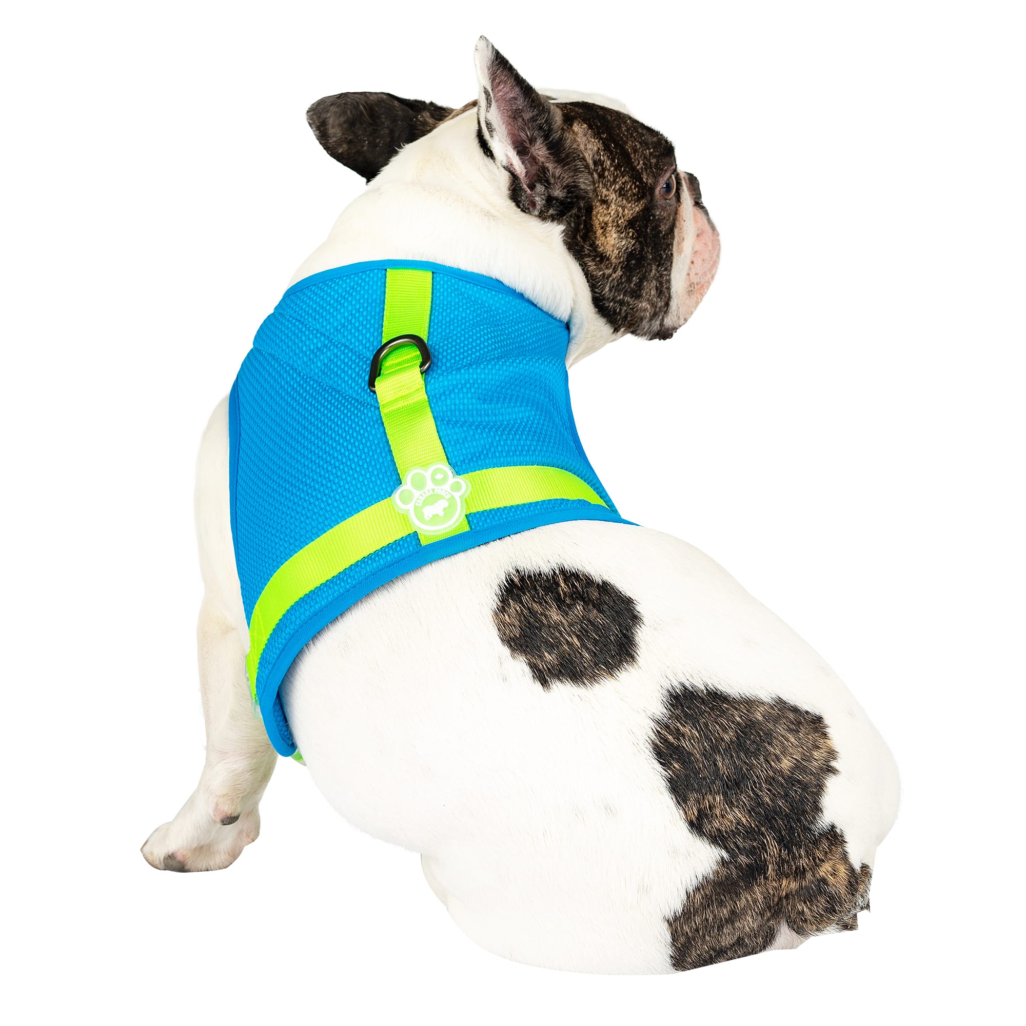 Best dog harness for long haired dogs best sale