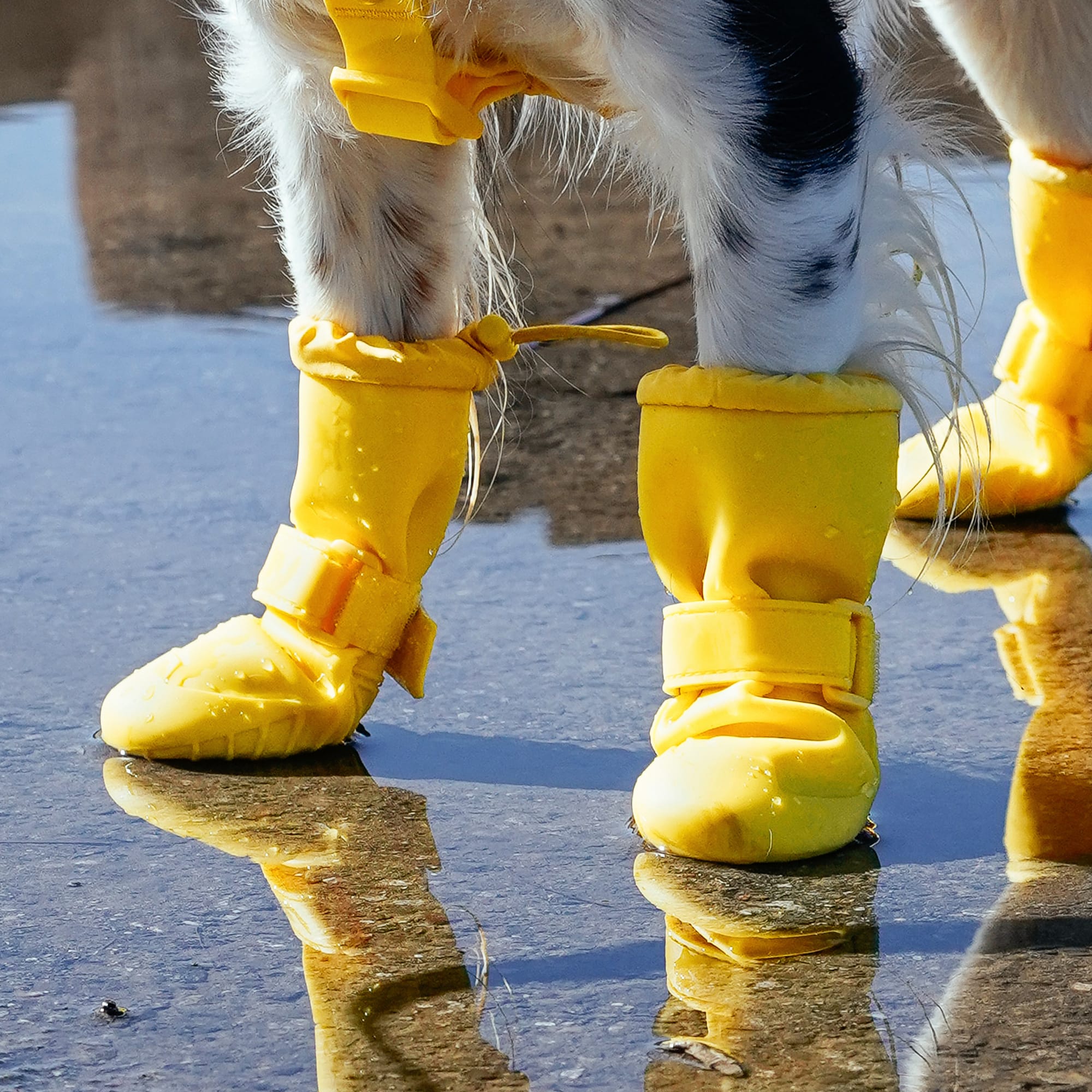 Canada Pooch X Small Yellow Waterproof Dog Boots Rain Gear