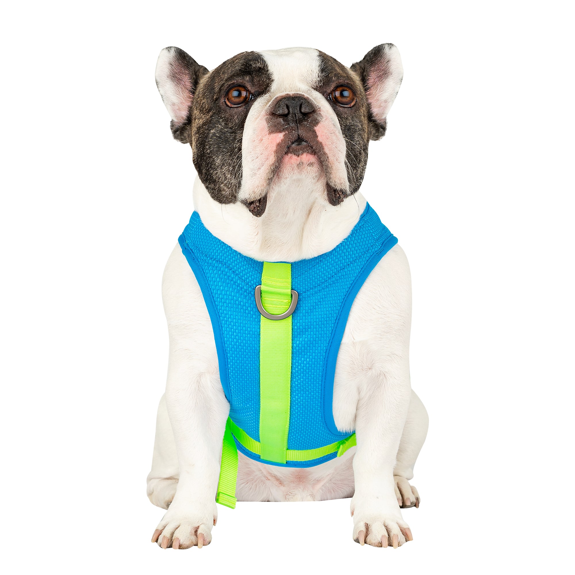 Canada Pooch Chill Seeker Cooling Dog Harness, Blue, Small Petco