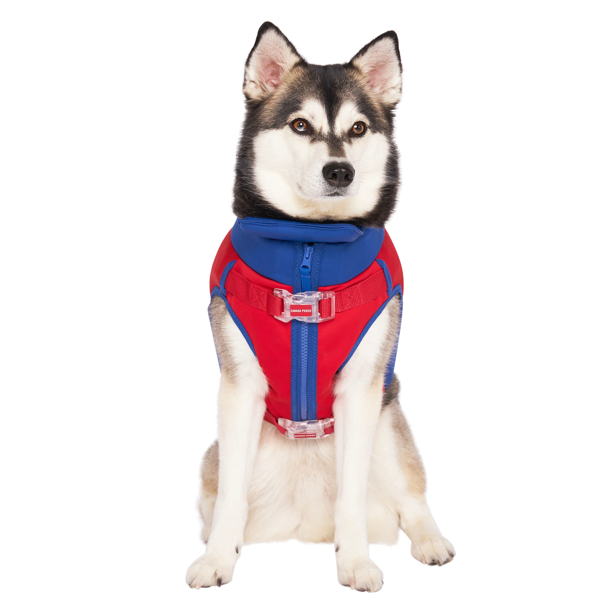 Canada pooch shop life jacket