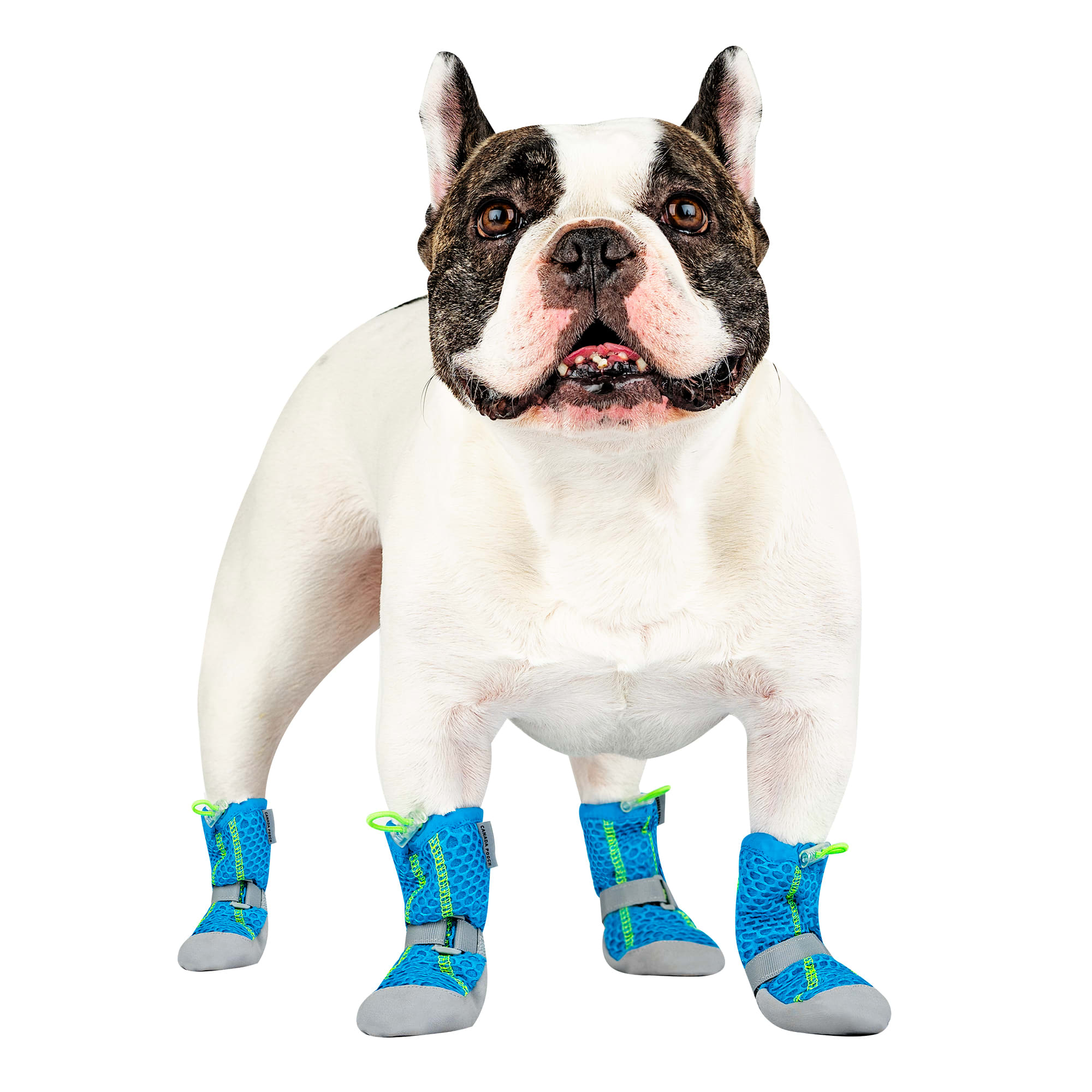 Canada Pooch Blue Hot Pavement Dog Boots X Small Petco