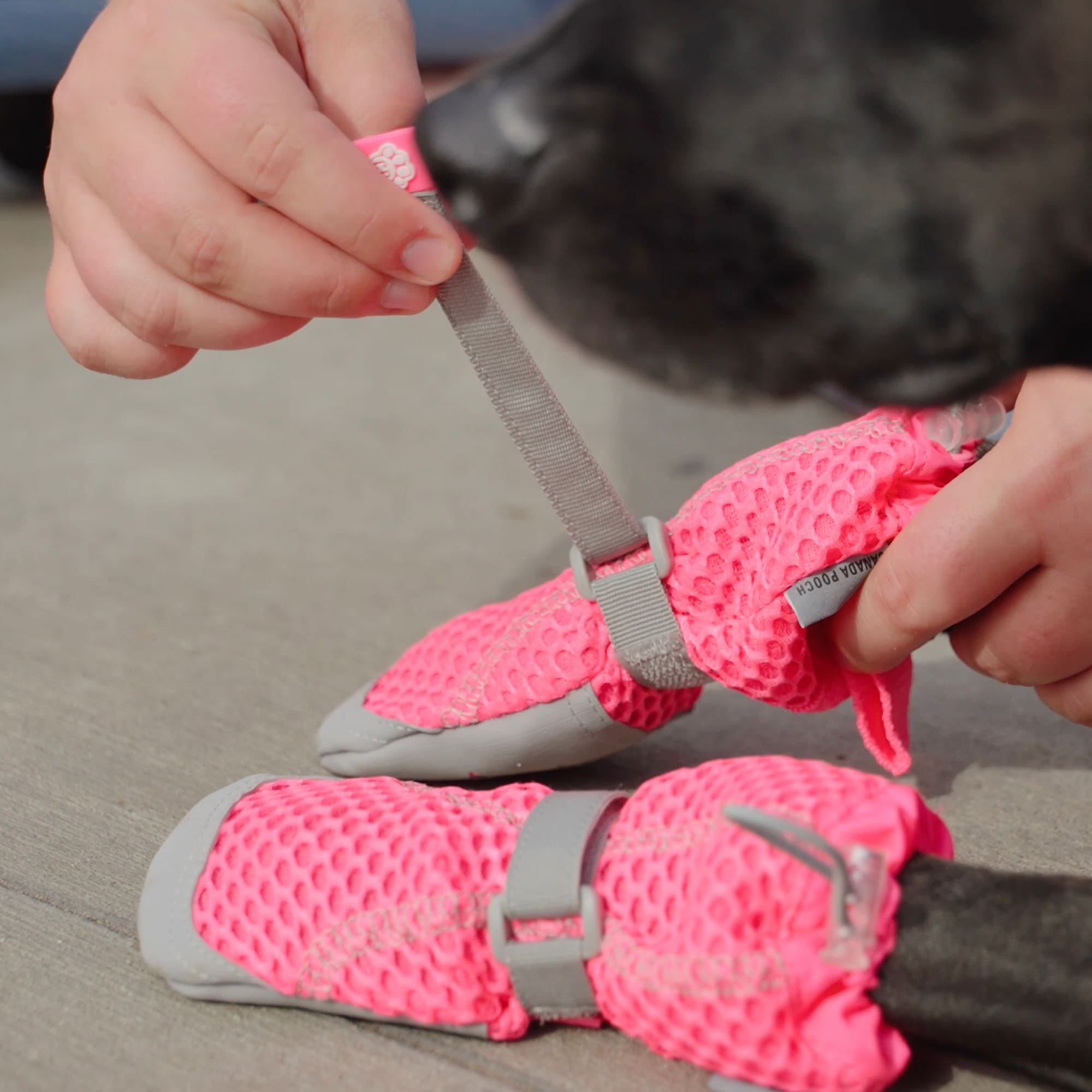 Canada Pooch Pink Hot Pavment Dog Boots, X-Large | Petco