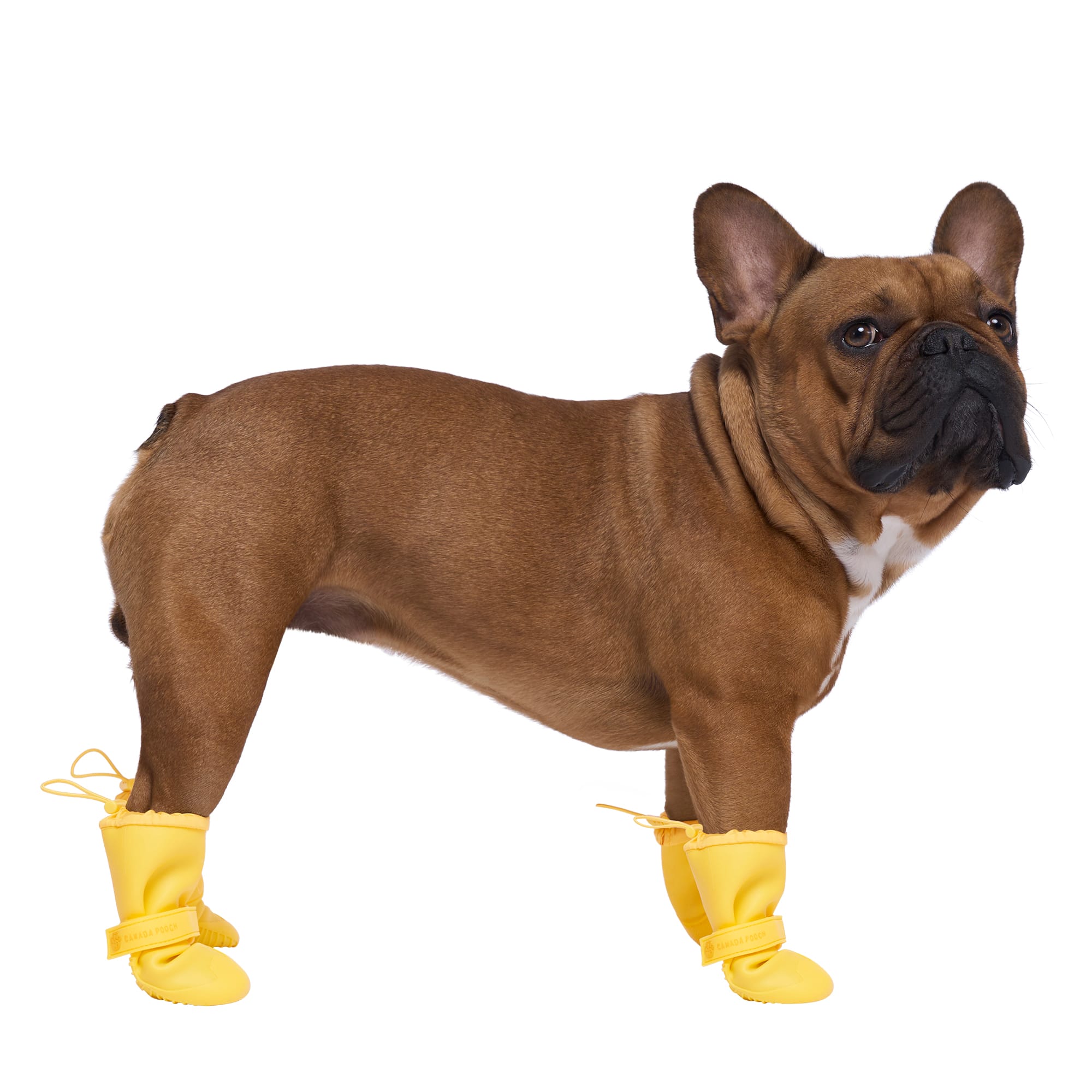 Canada Pooch XSmall Yellow Waterproof Dog Boots & Rain Gear