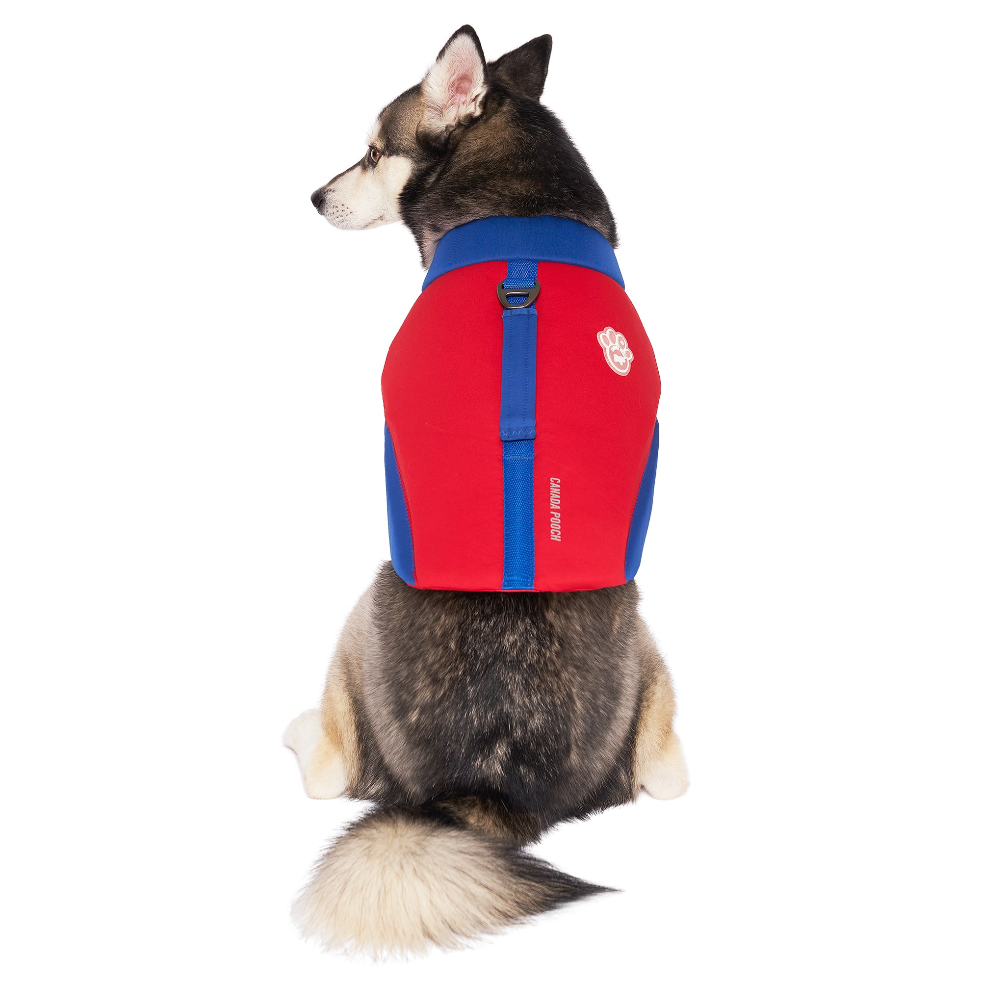 Canada Pooch Red/Blue High Tide Dog Life Jacket, Large Petco