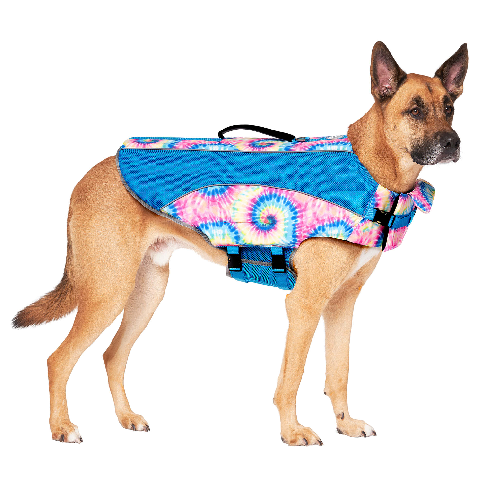 Life vest for hot sale great dane