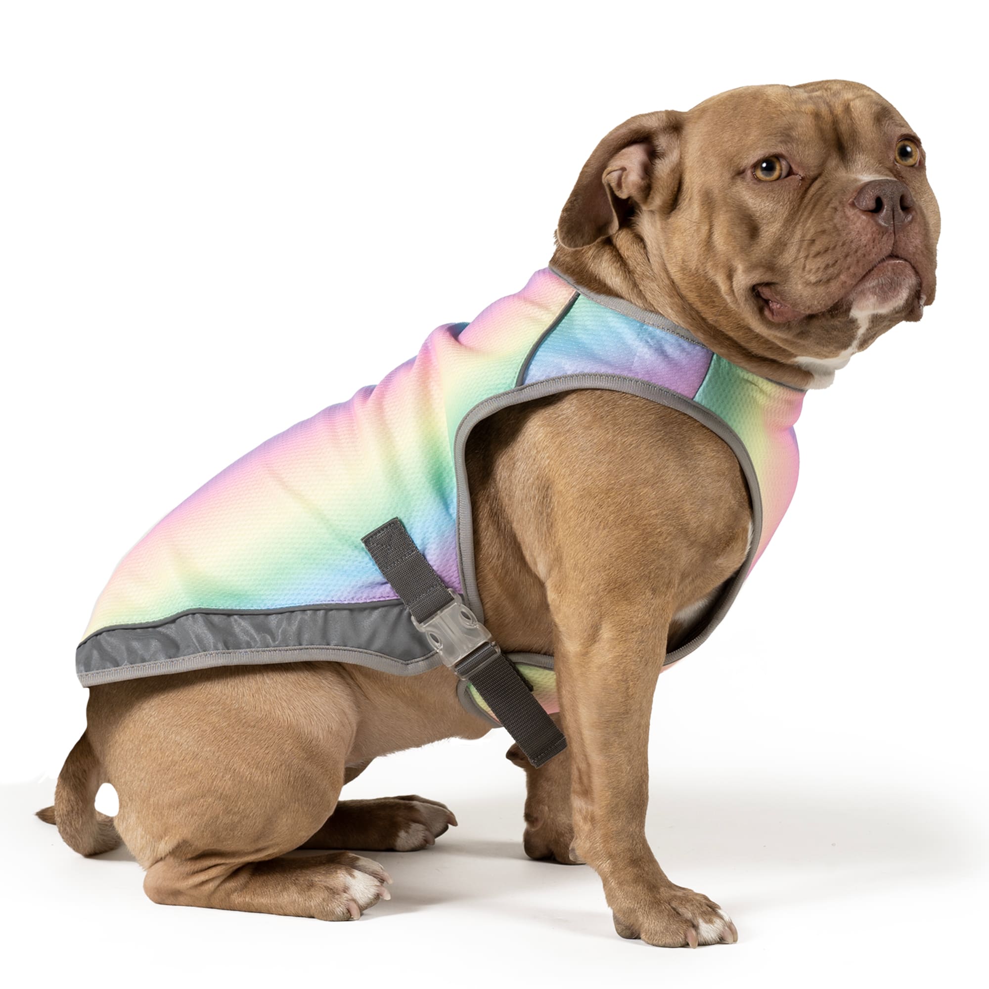 Canada Pooch Rainbow Chill Seeker Cooling Dog Vest, XSmall Petco