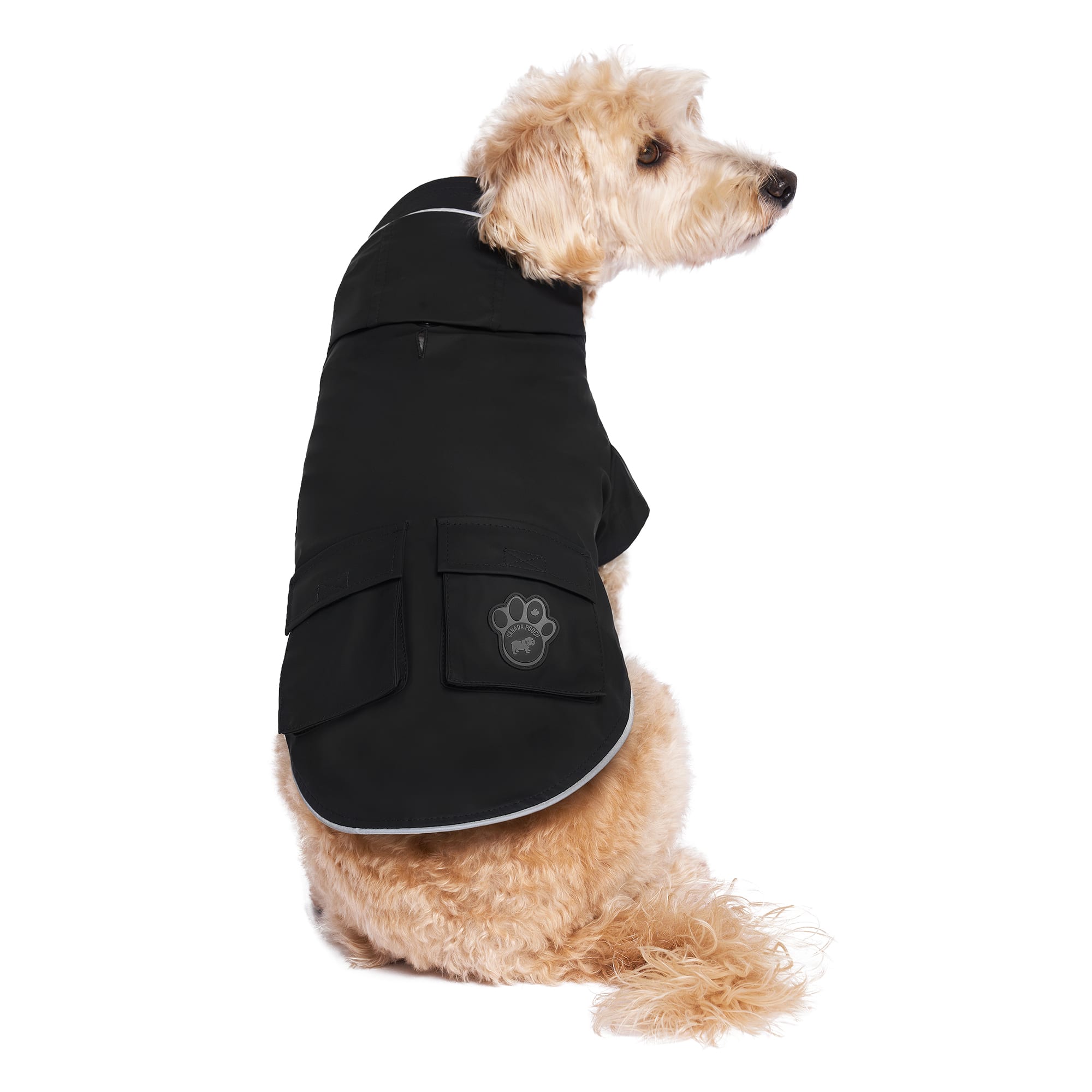 Canada Pooch XS Black Torrential Dog Raincoat & Stylish Fit
