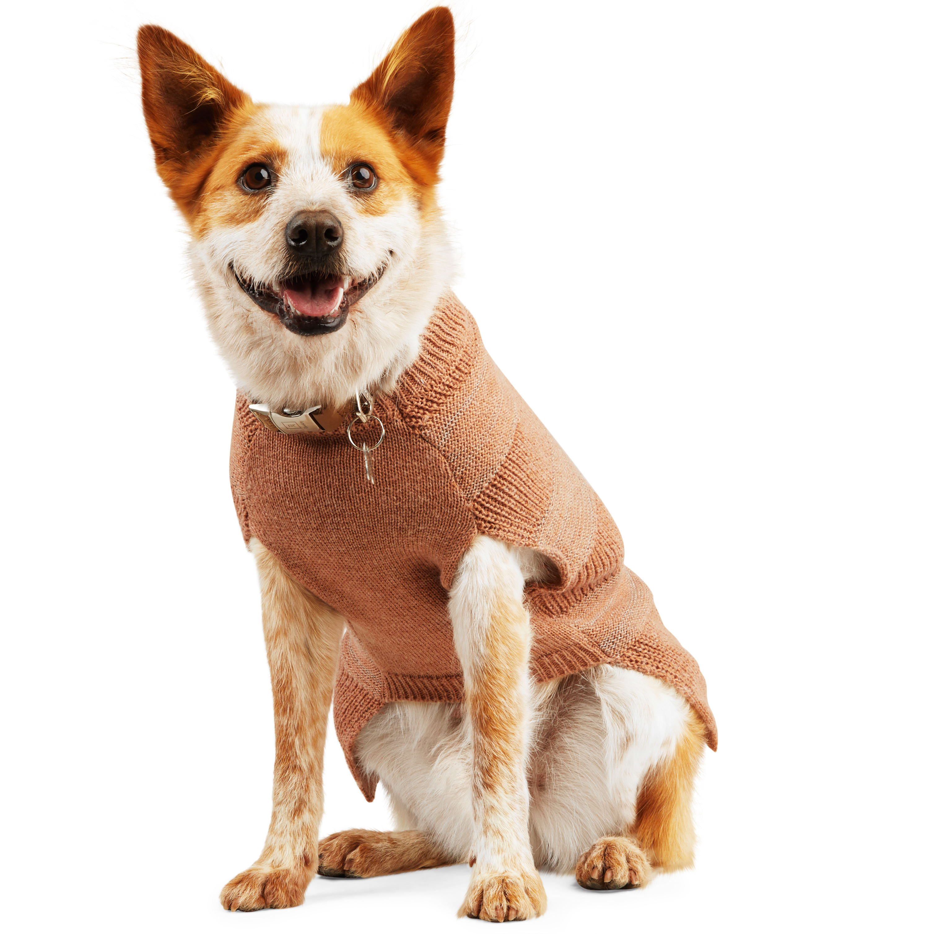 Reddy Copper Reflective Dog Sweater, Large Petco