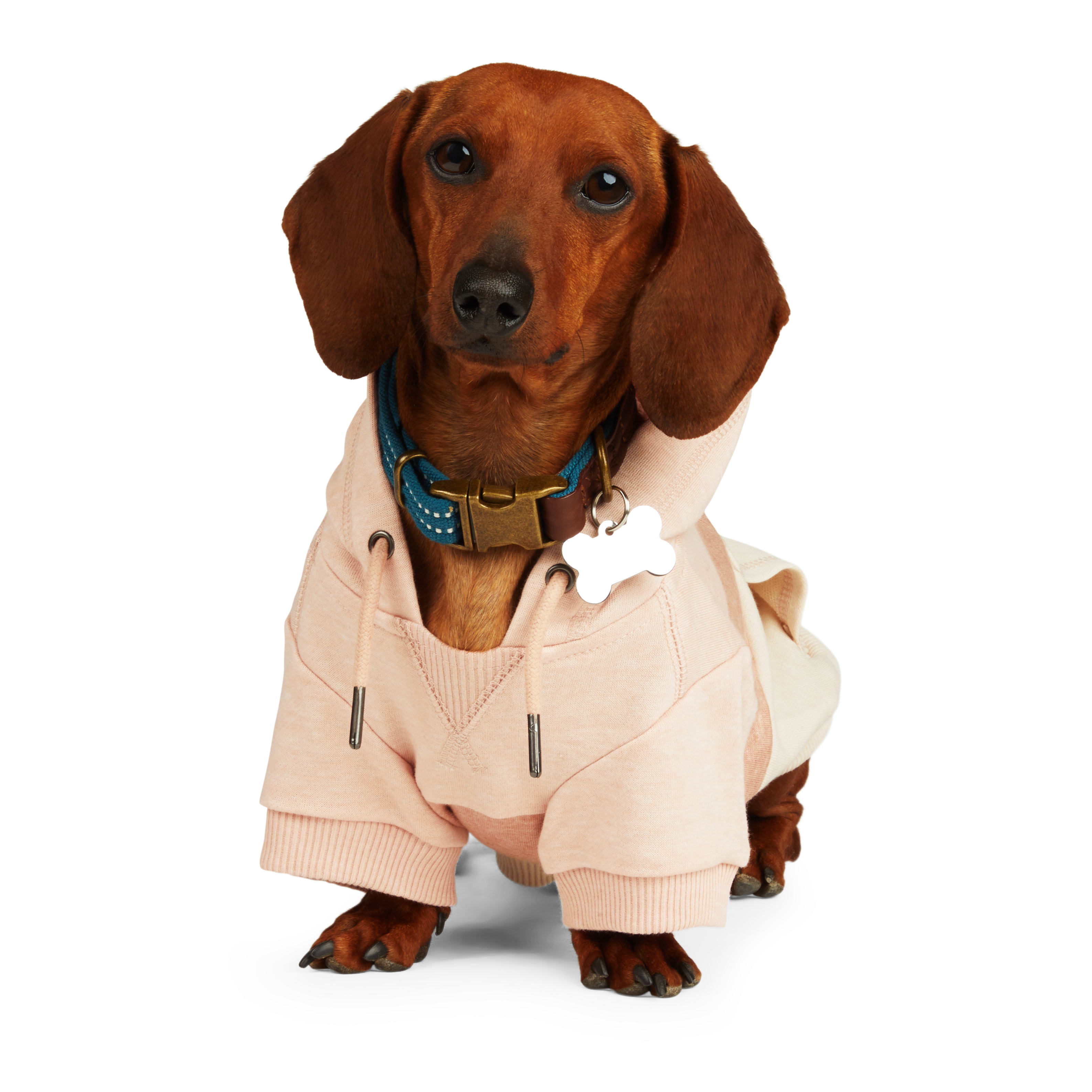 Reddy Pink/Taupe Colorblock Dog Hoodie, Small Petco