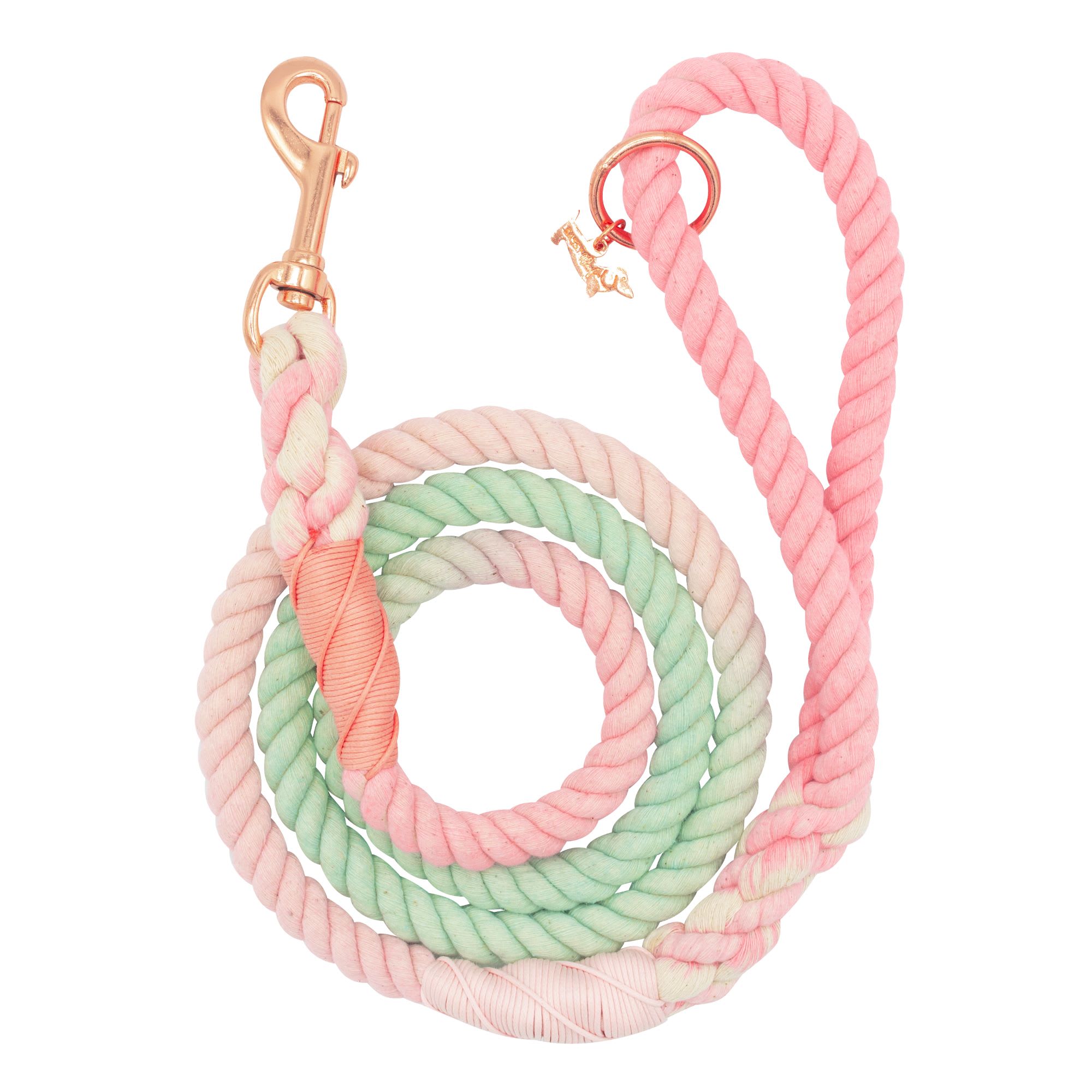 Sassy Woof Sherbet 5 ft Rope Dog Leash with Rose Gold Accents