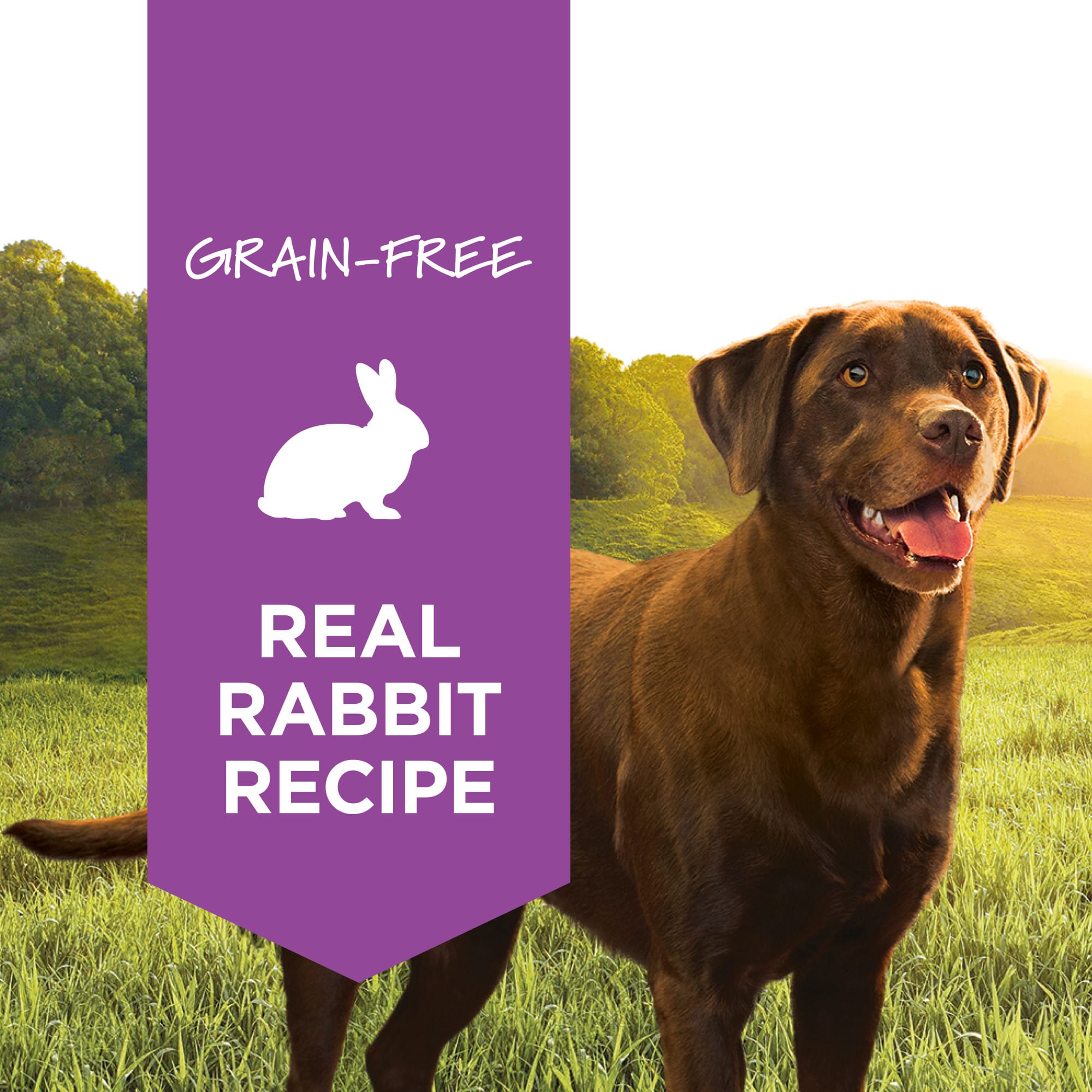 rabbit wet dog food