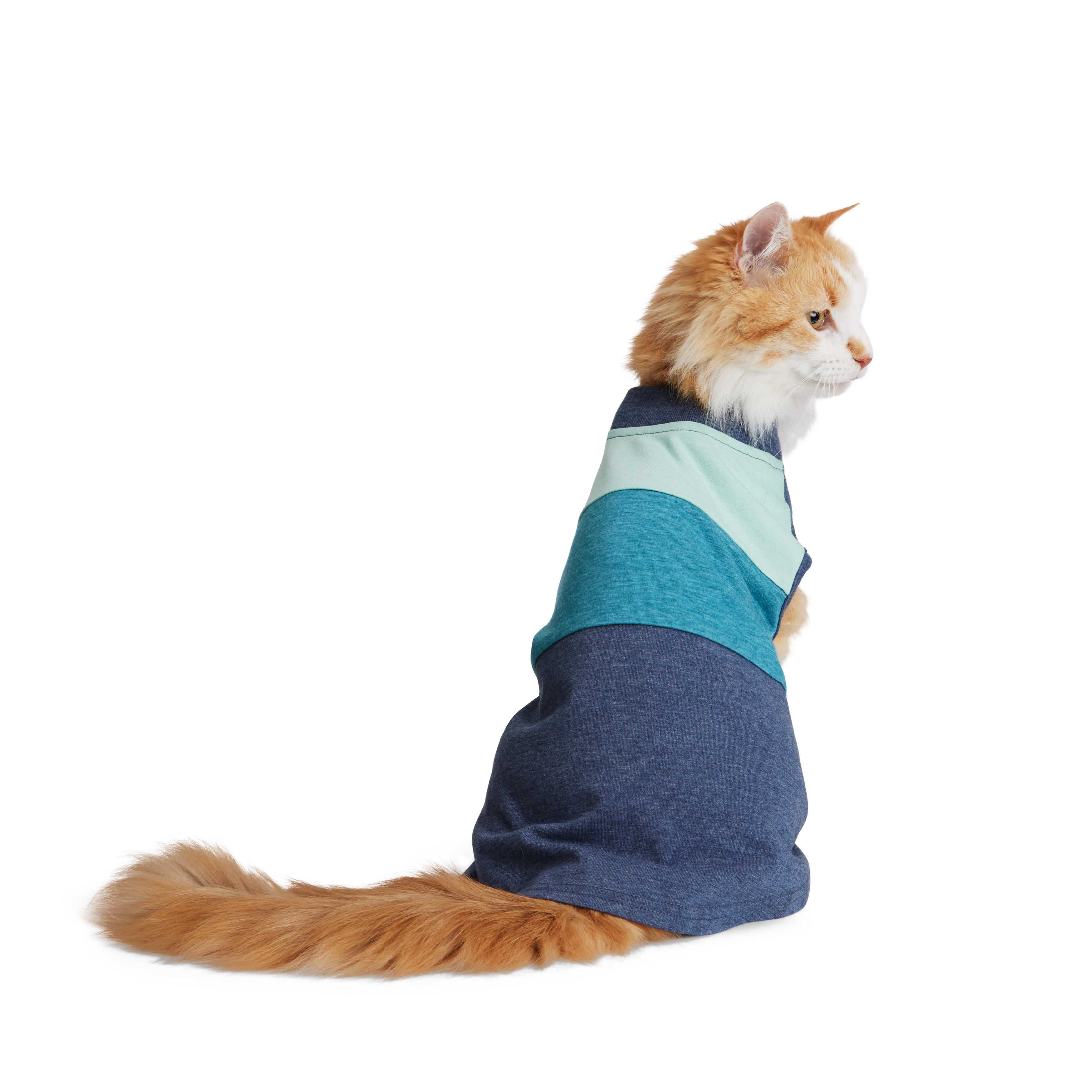 Petco cat hot sale clothes