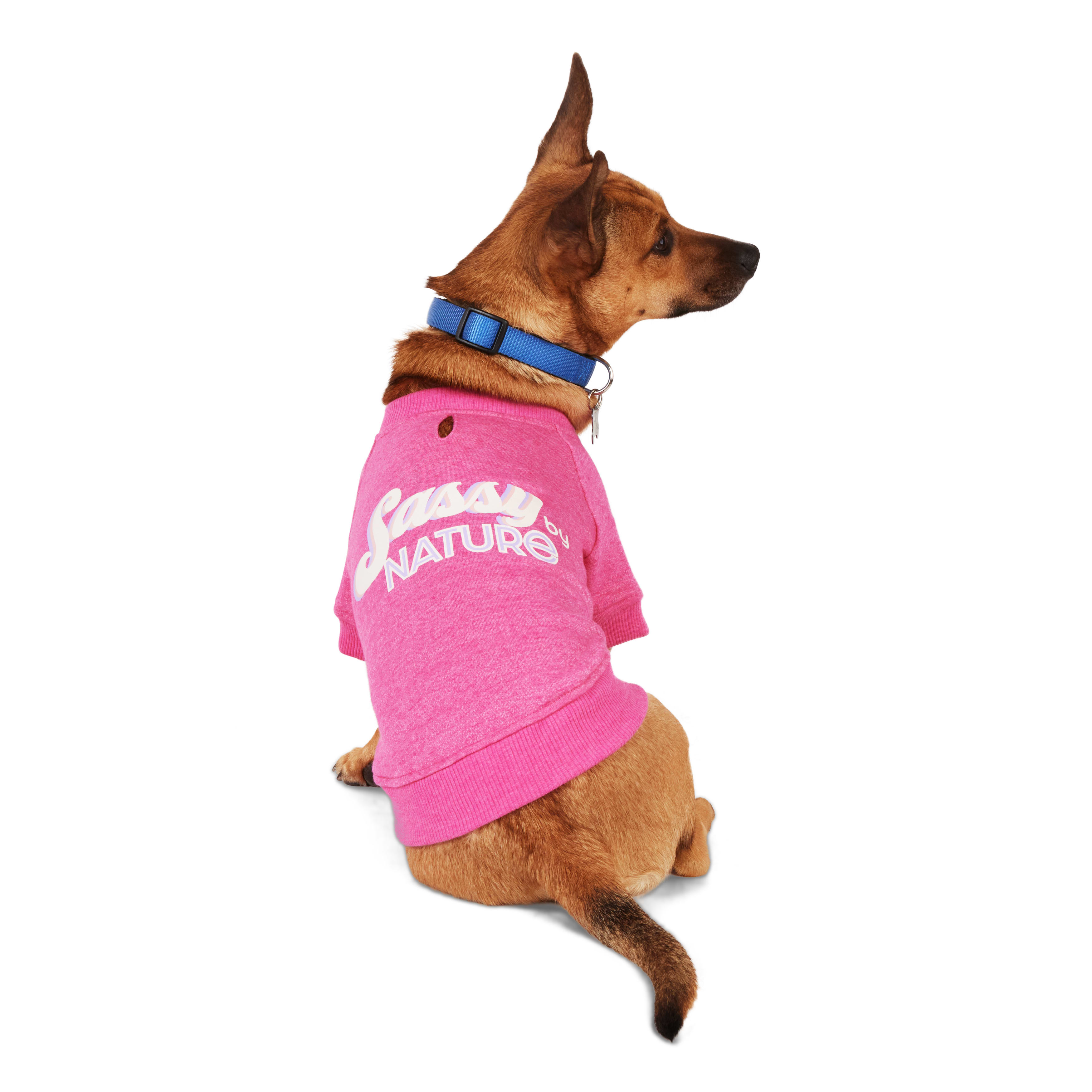 Petco dog sale shirt