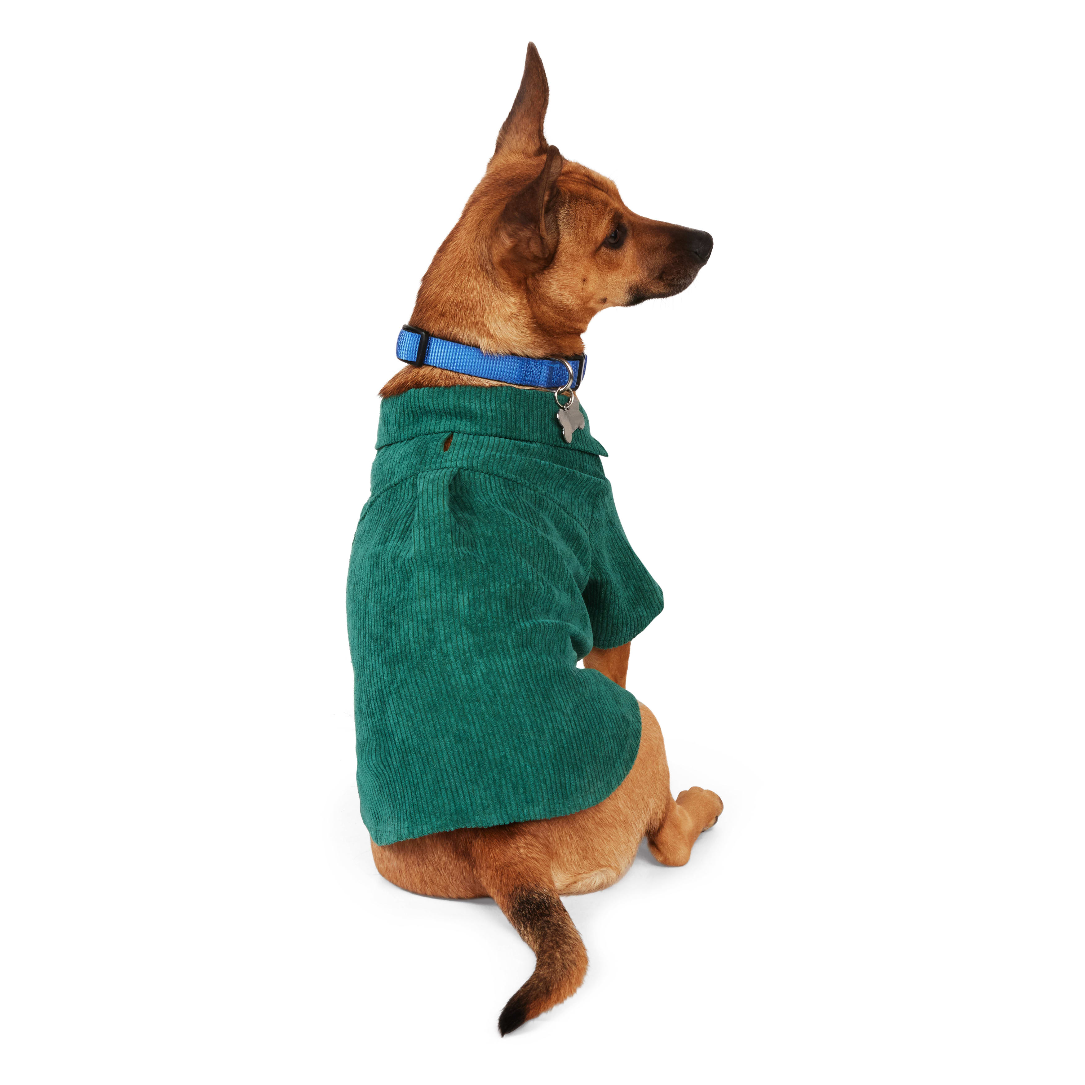 YOULY Corduroy Dog Top X Small Green Petco