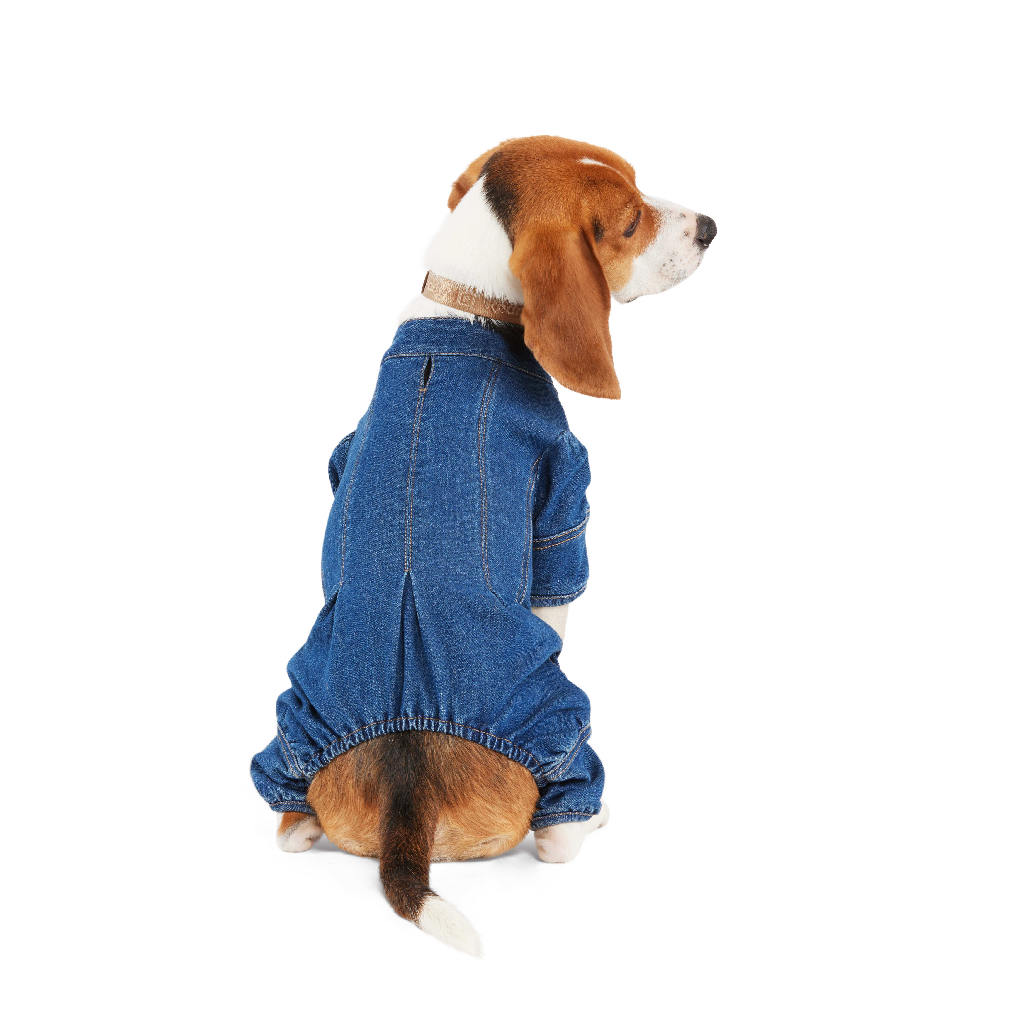 Reddy Denim Jumpsuit for Dogs X Small Blue