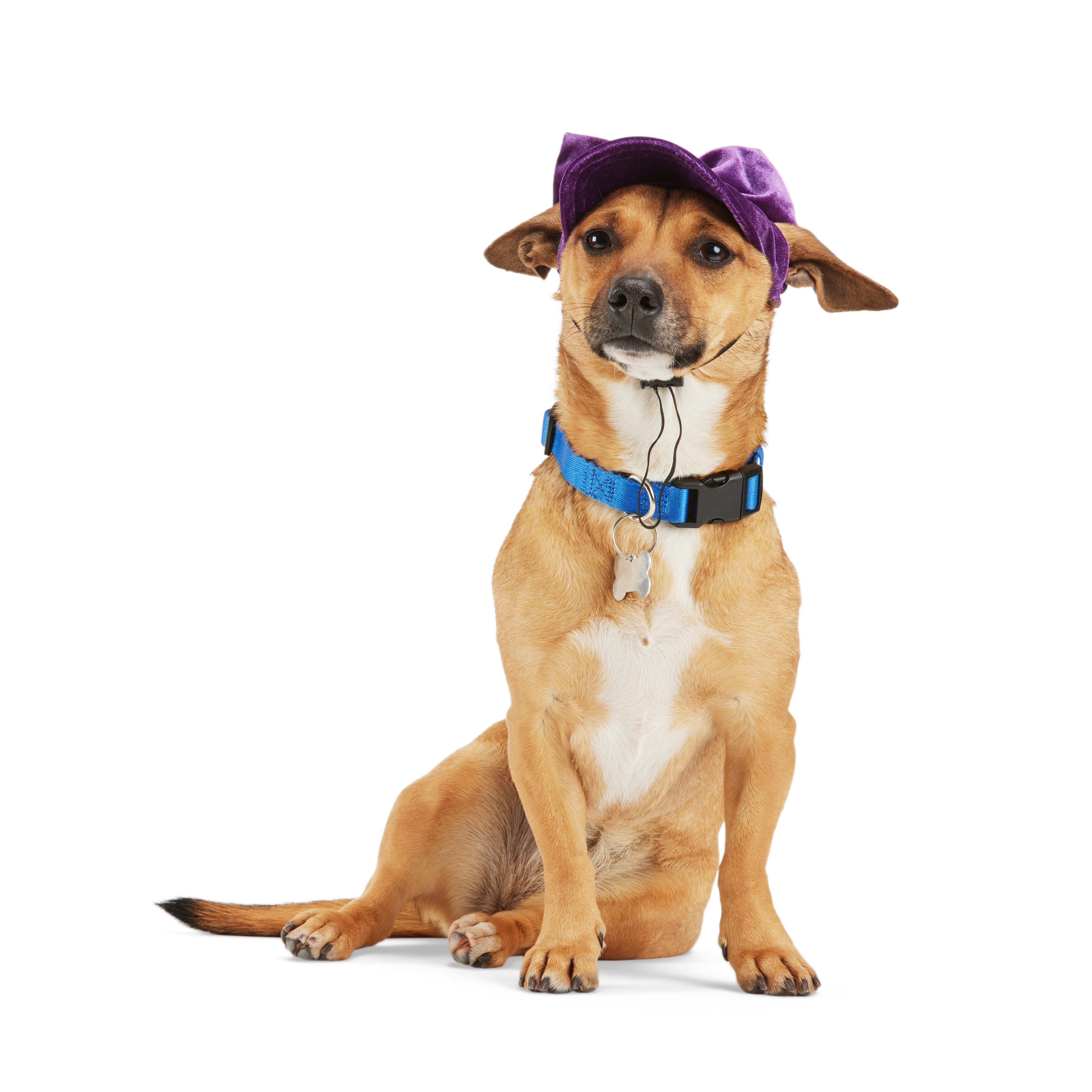 YOULY Straw Hat for Dogs, X-Small/Small