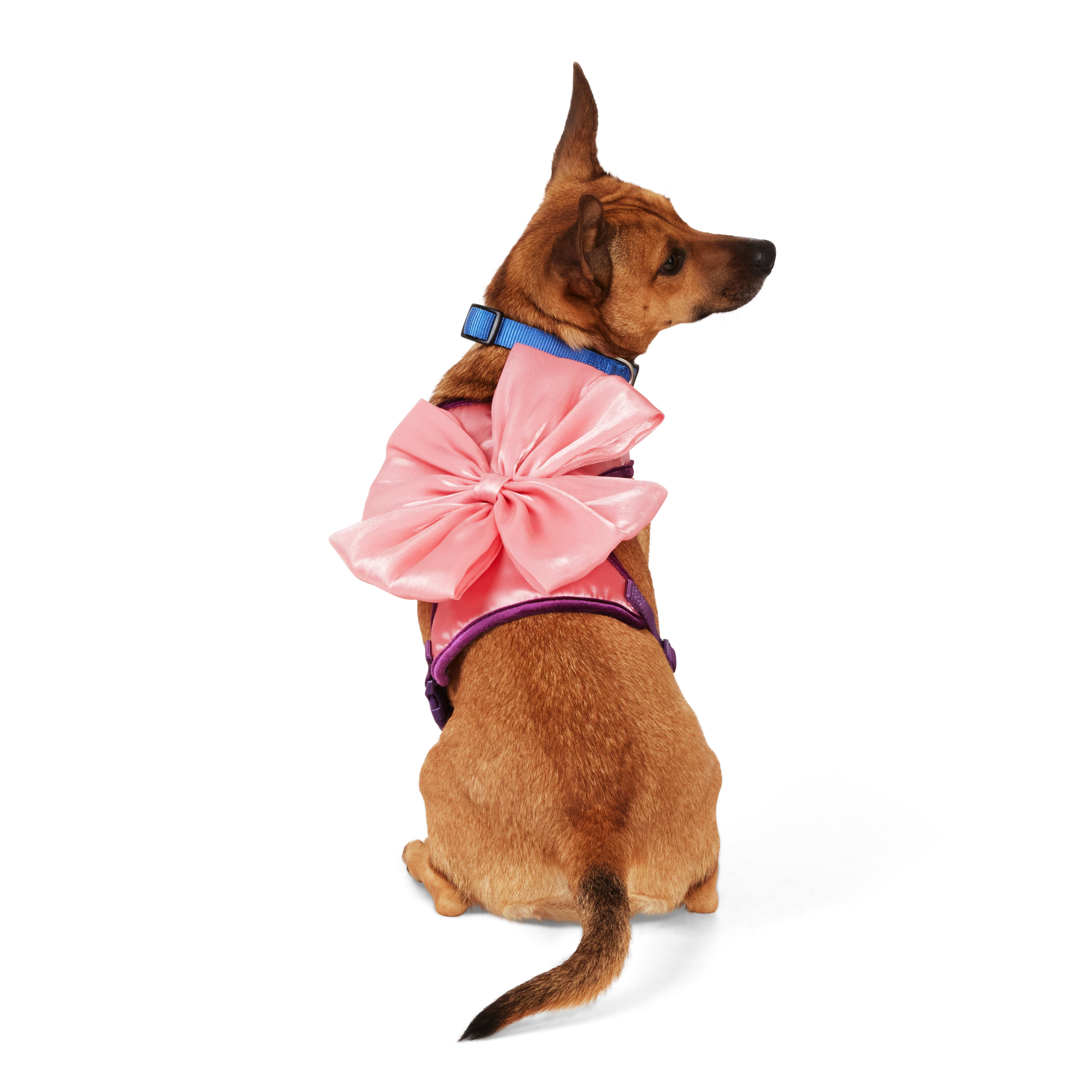 Cute Bow Harness & Leash Set - Pink