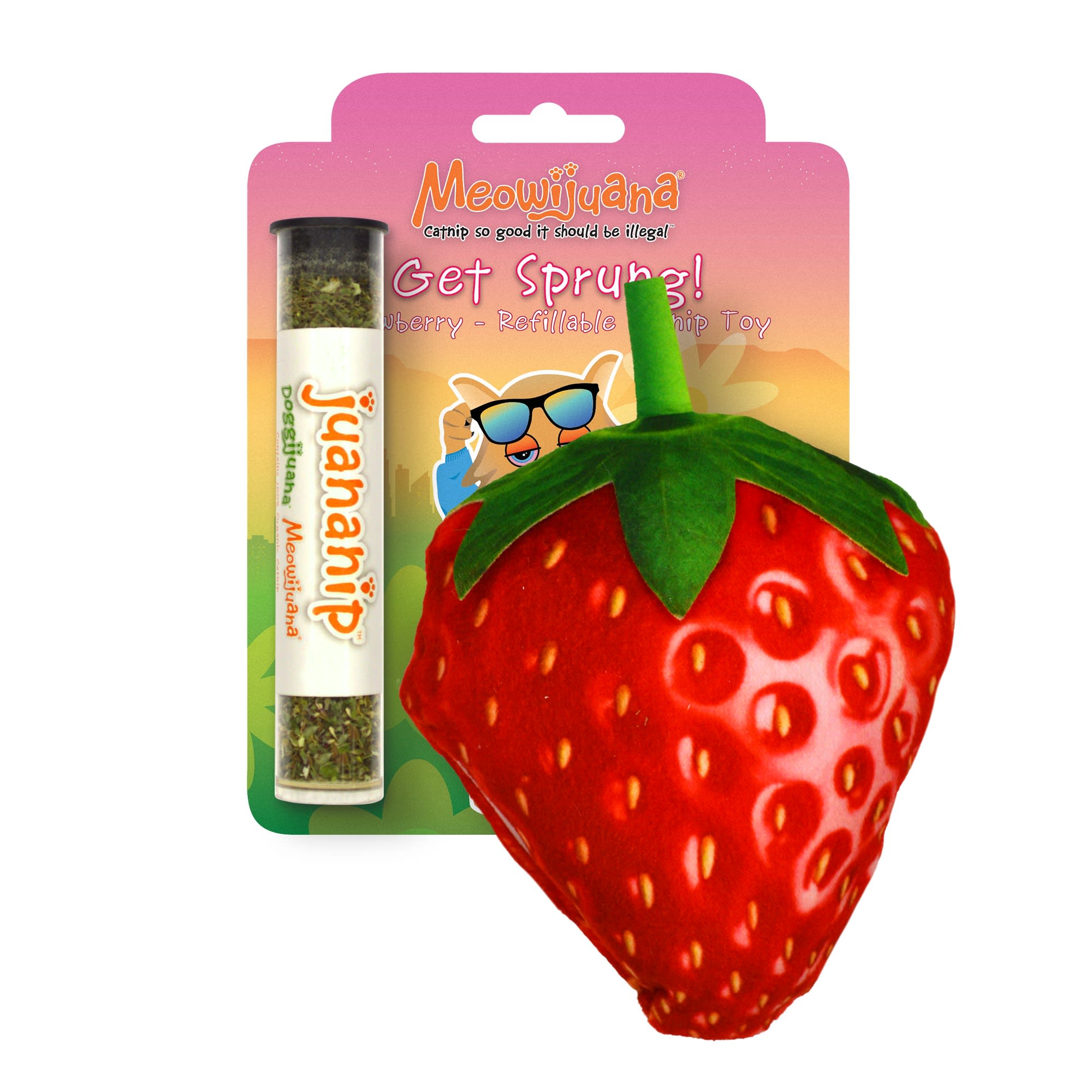 Strawberry cat outlet toy