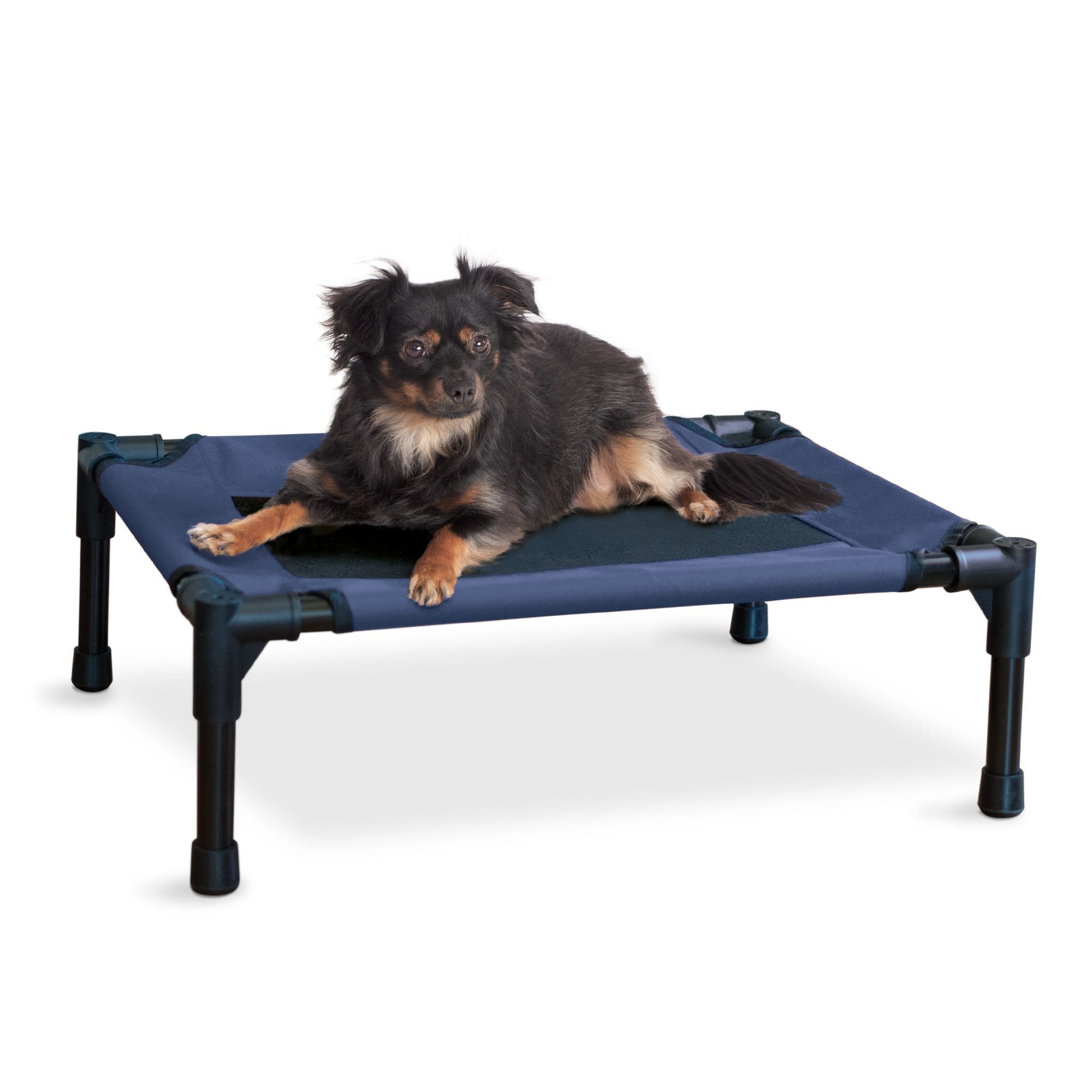 Elevated pet hot sale cot