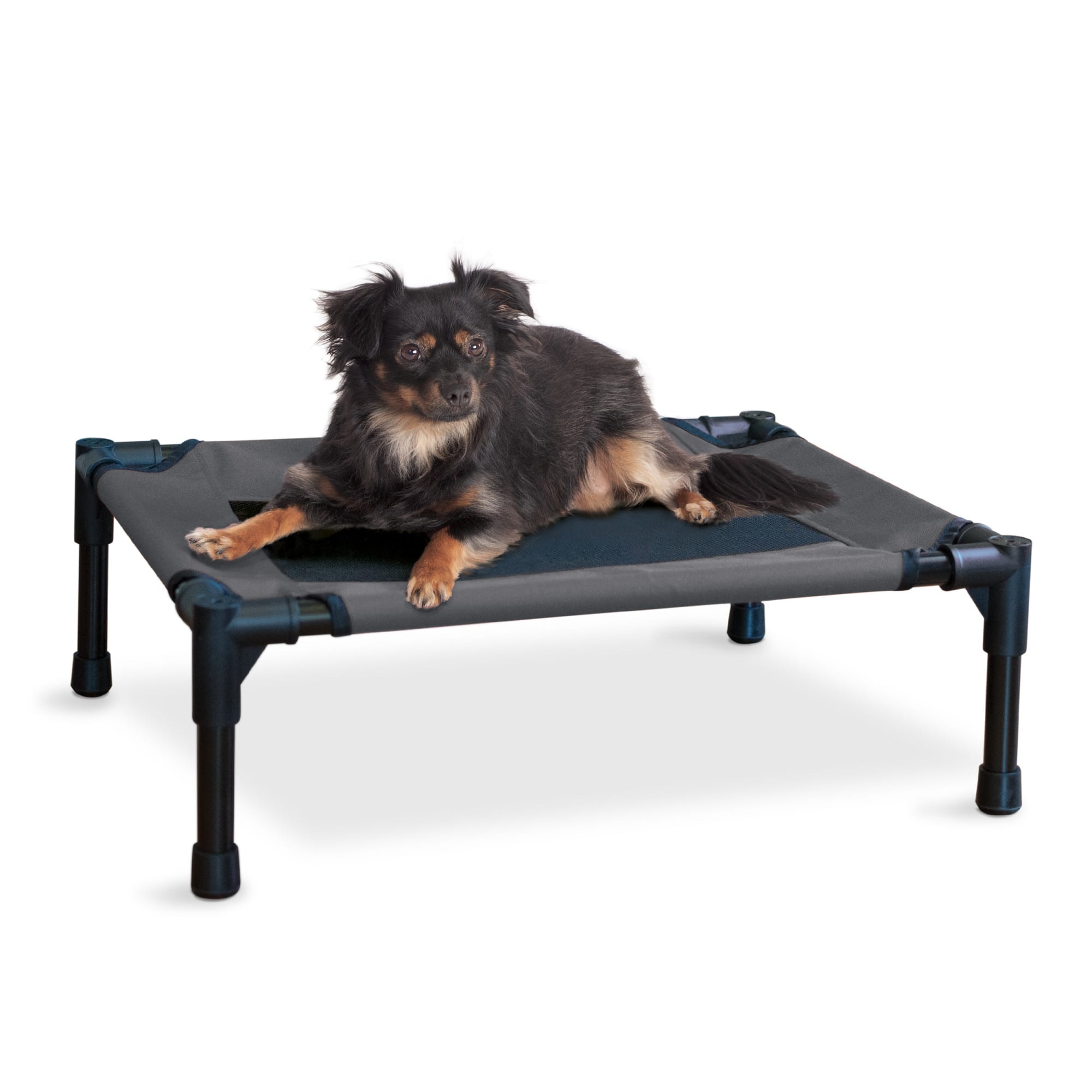 Pet cot clearance