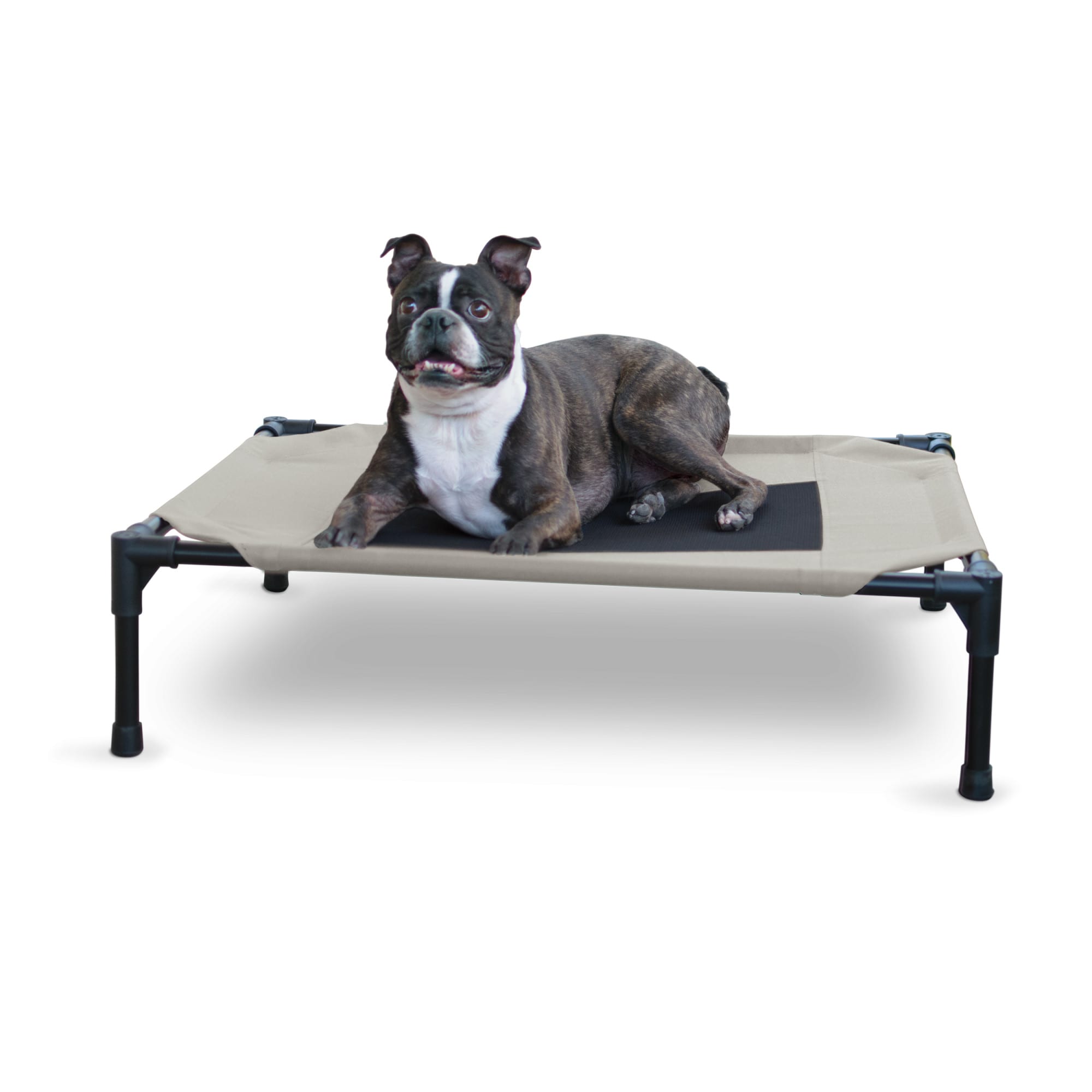 Petco raised dog bed hotsell