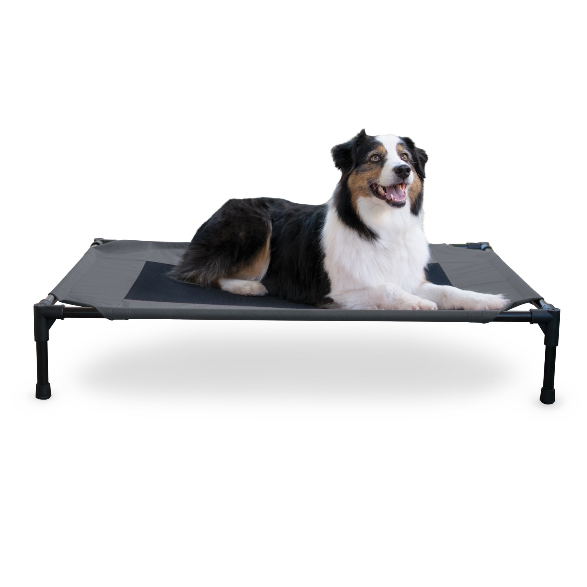 K H Elevated Pet Cot Bed Charcoal Breathable Mesh from Petco