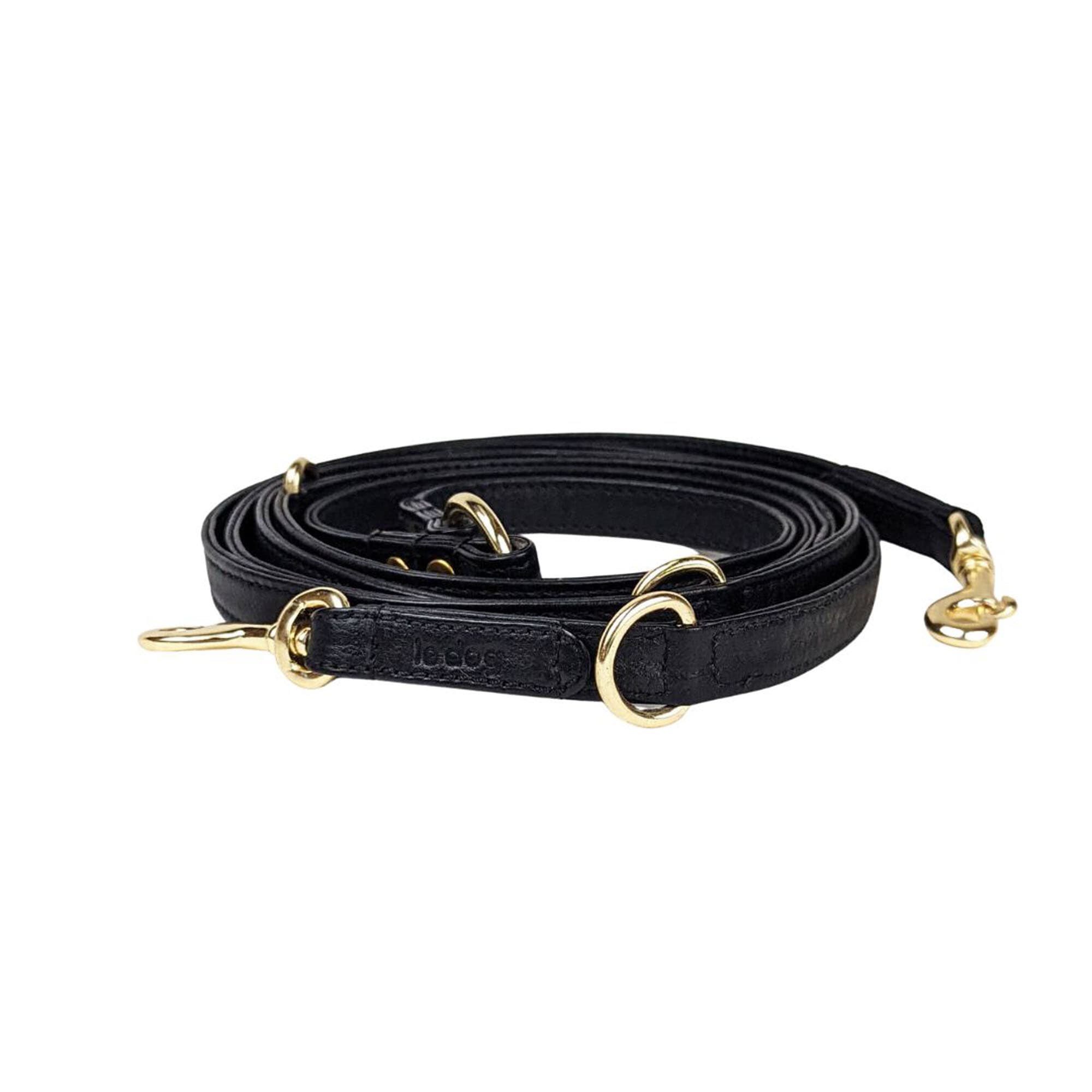 Hands free best sale leash petco