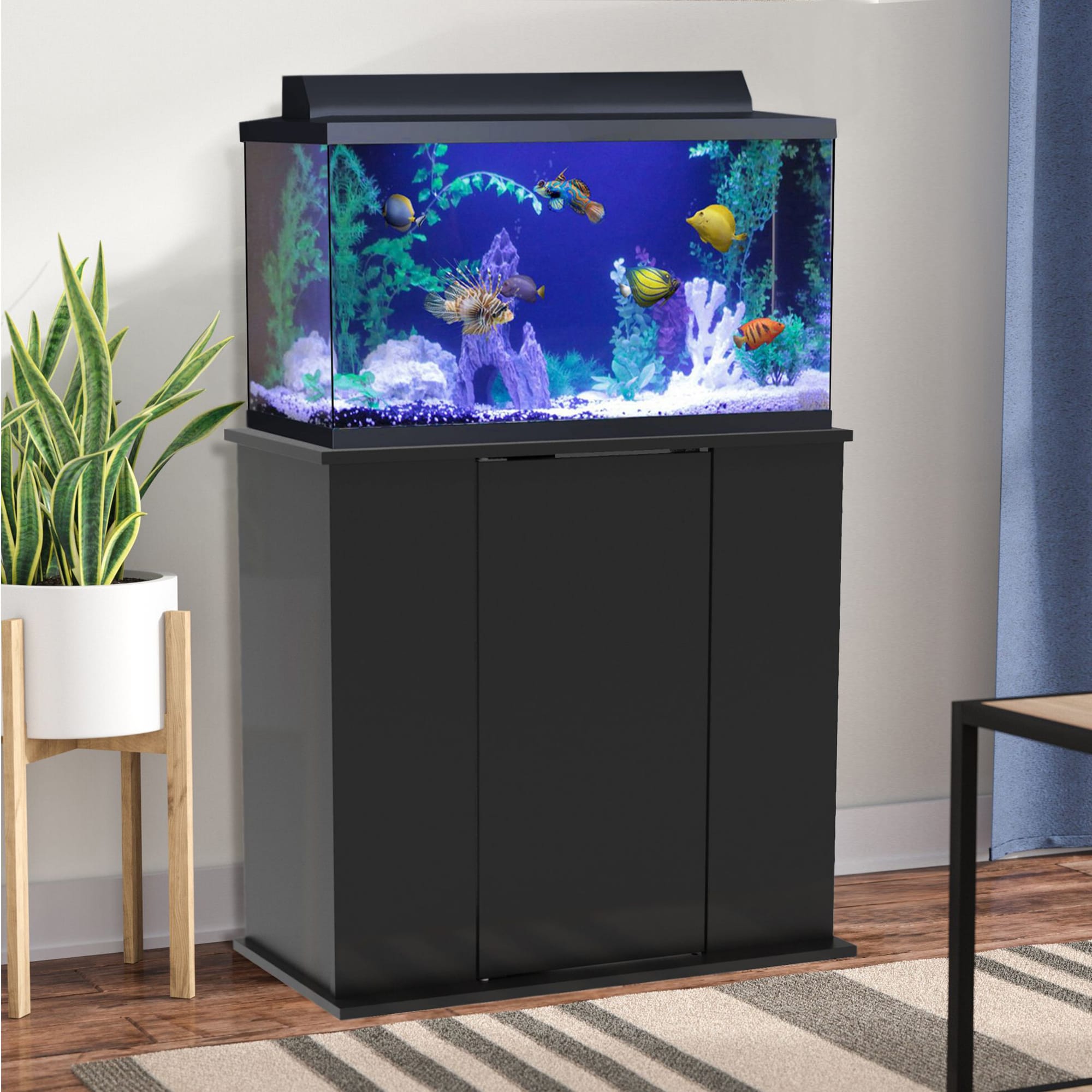 Petco fish outlet stand