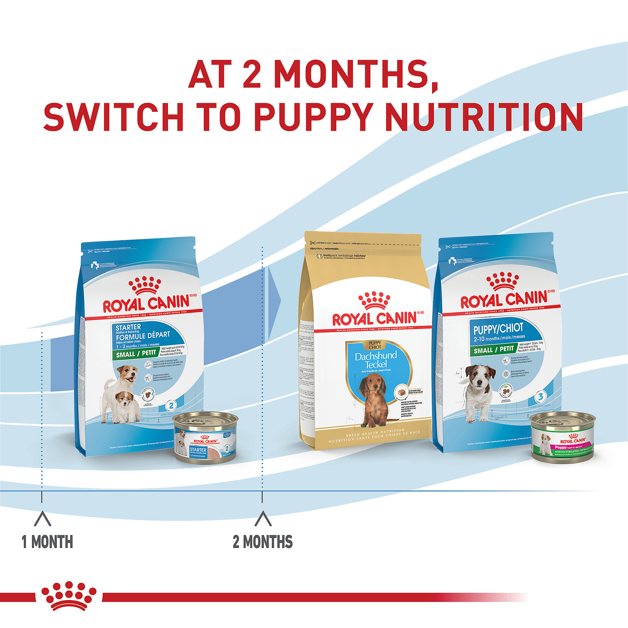 Royal canin starter clearance petco