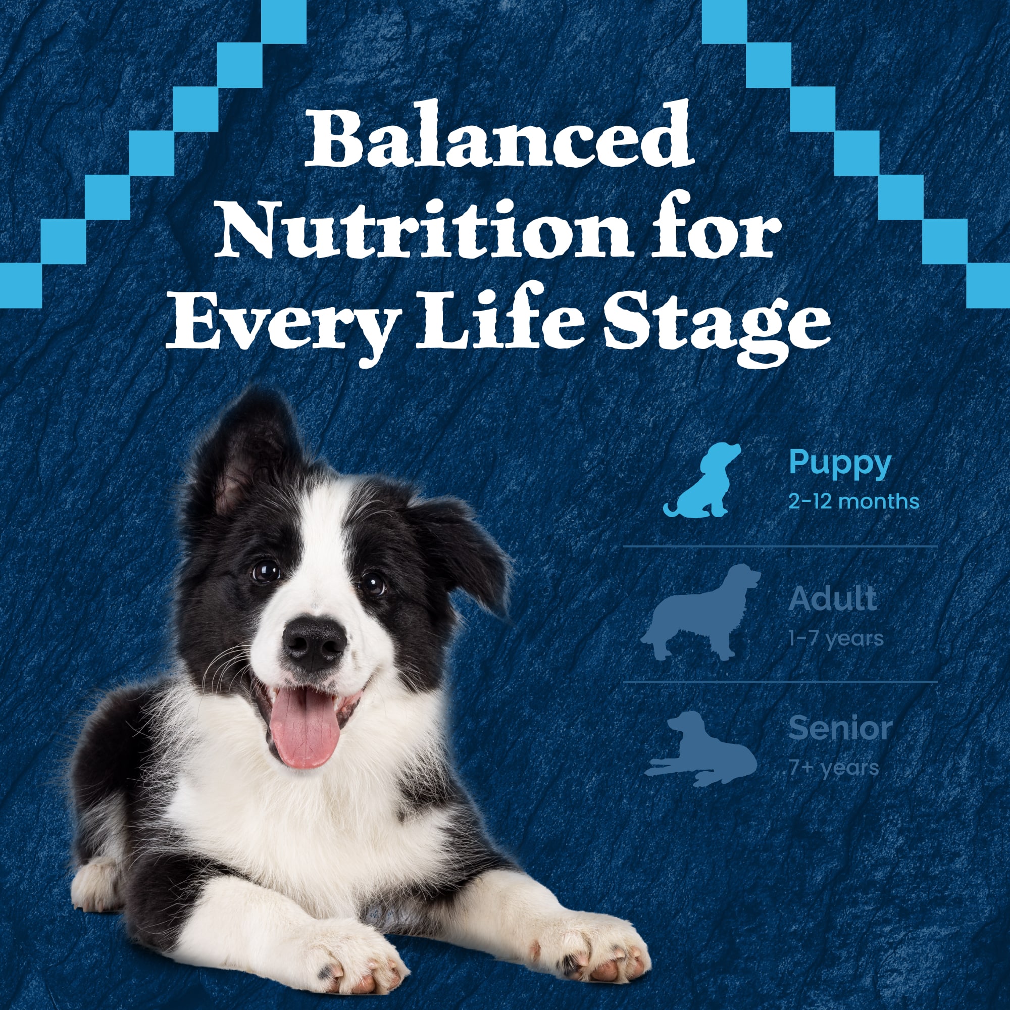 alton farm and home dog food nutrisource NutriSource Big Bites Beef Grain-Free Dog Treats, 14-oz