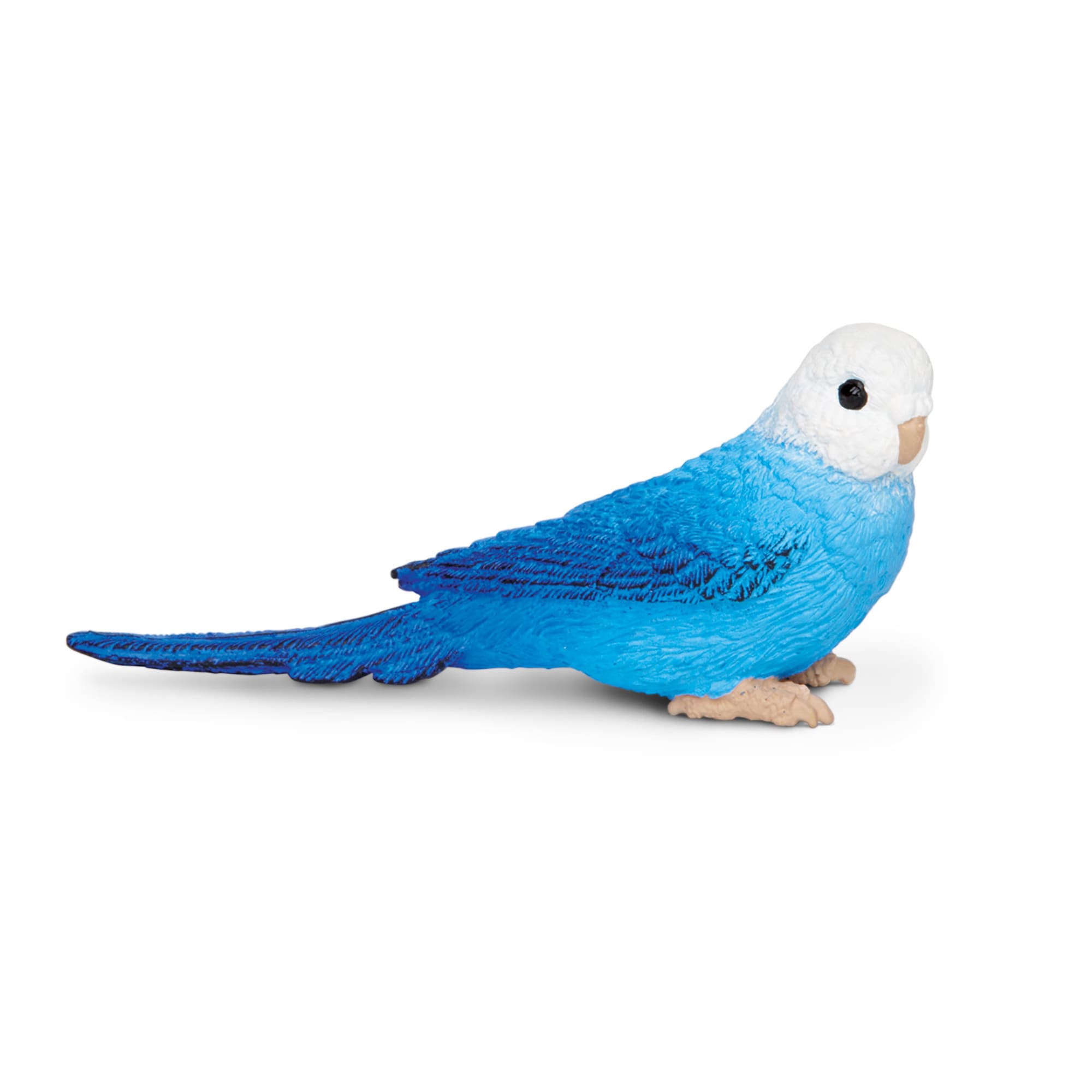 Pets at clearance home budgie toys