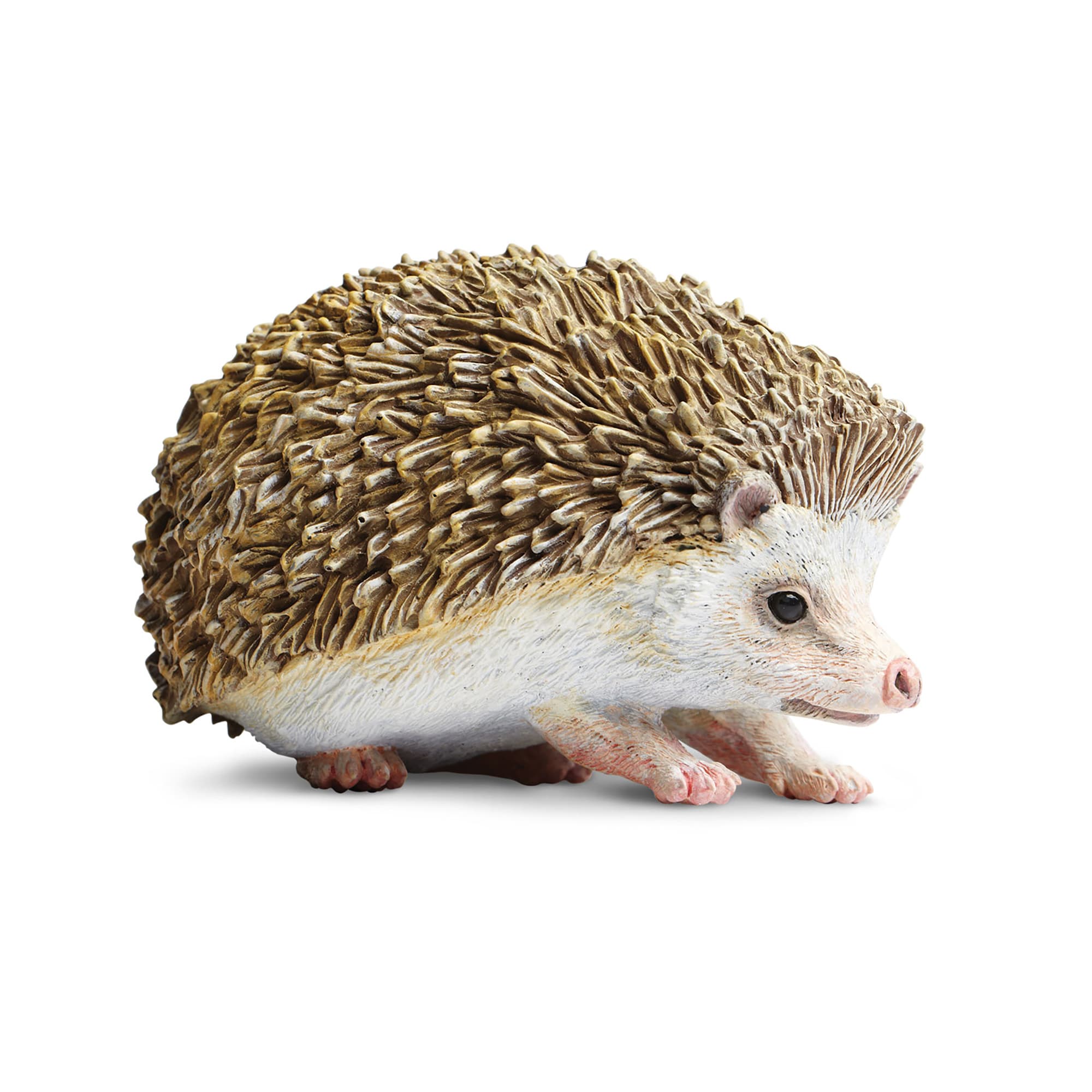 Hedgehog food petco sale