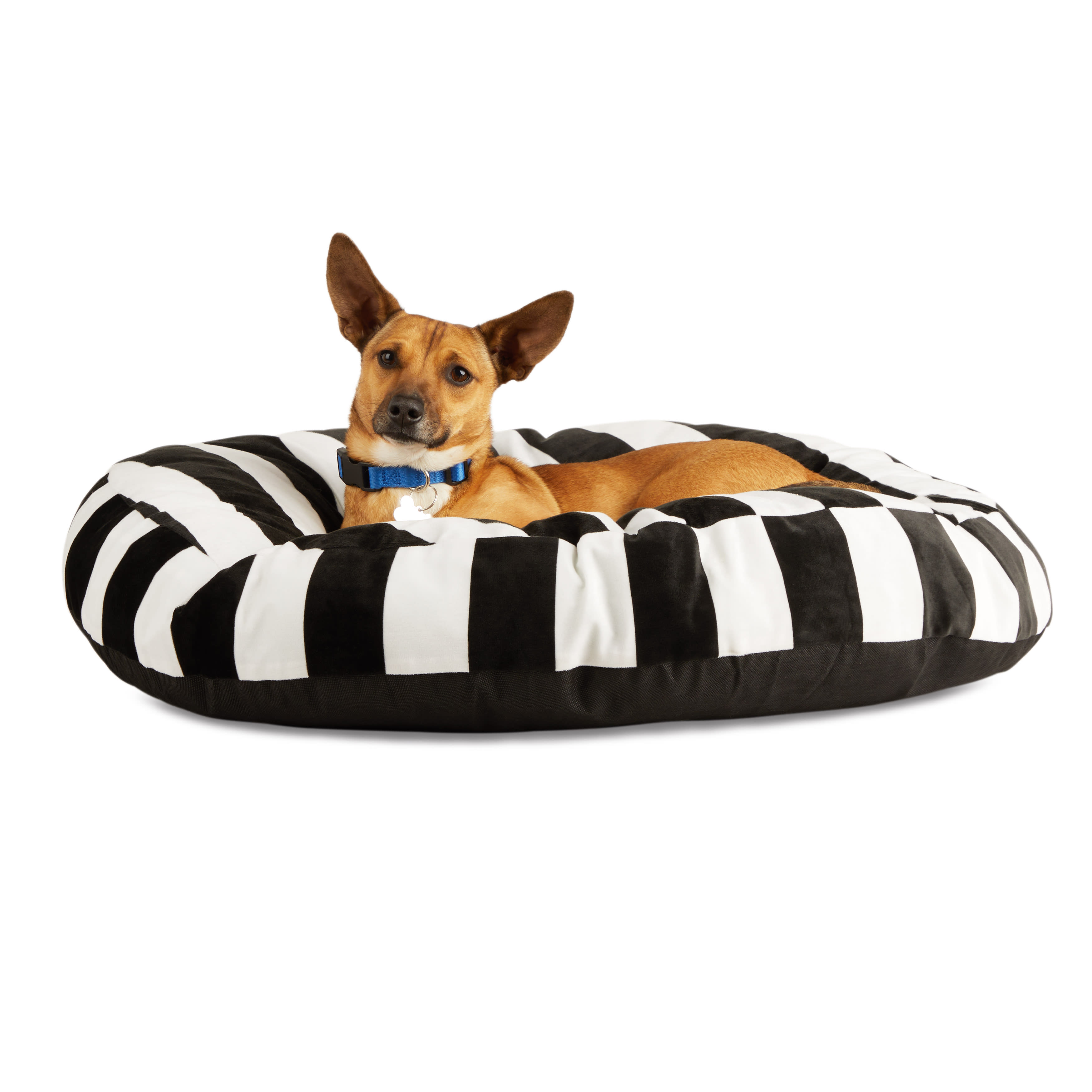 Petco dog hot sale pillows