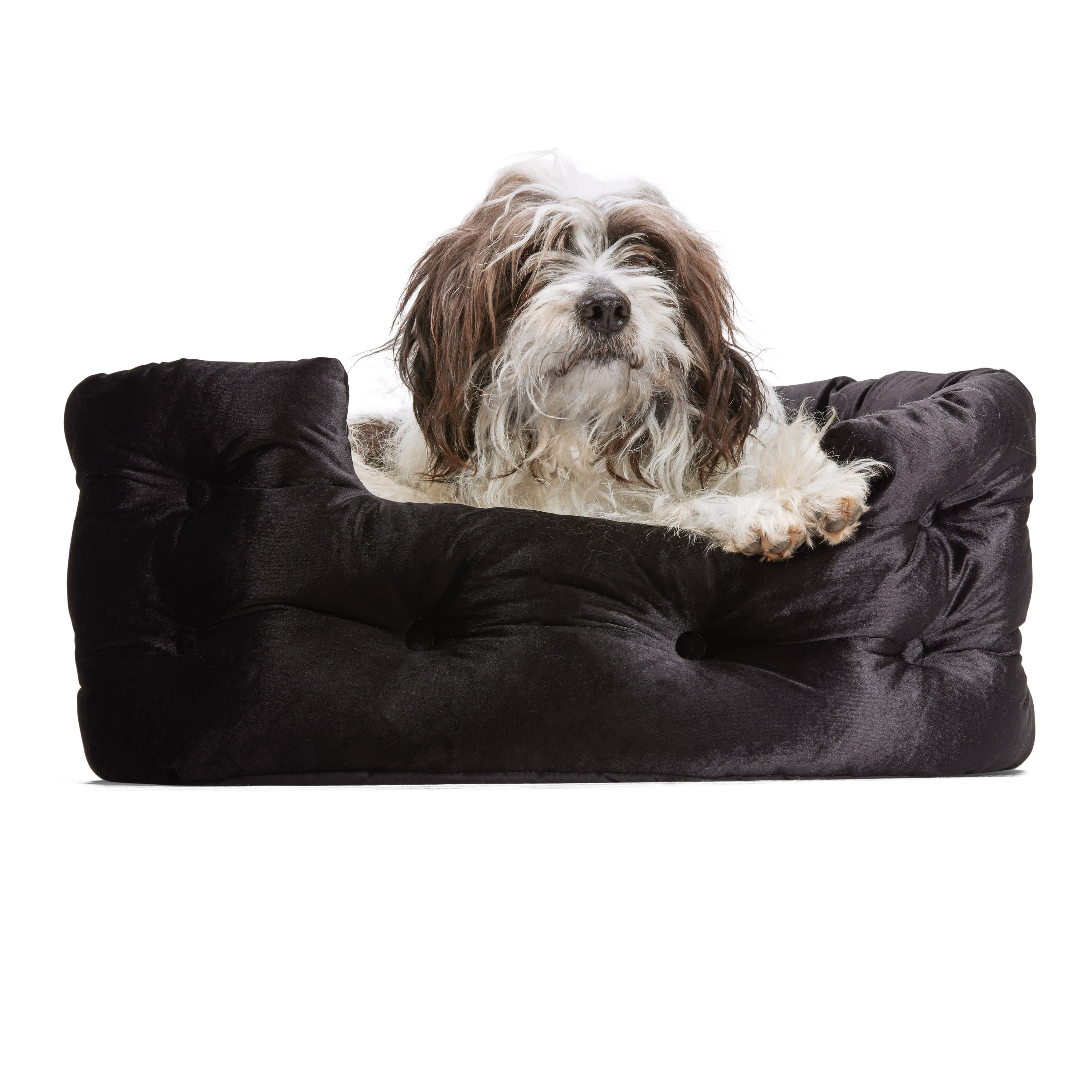 Bootique Black Tufted Velvet Dog Bed 20.5