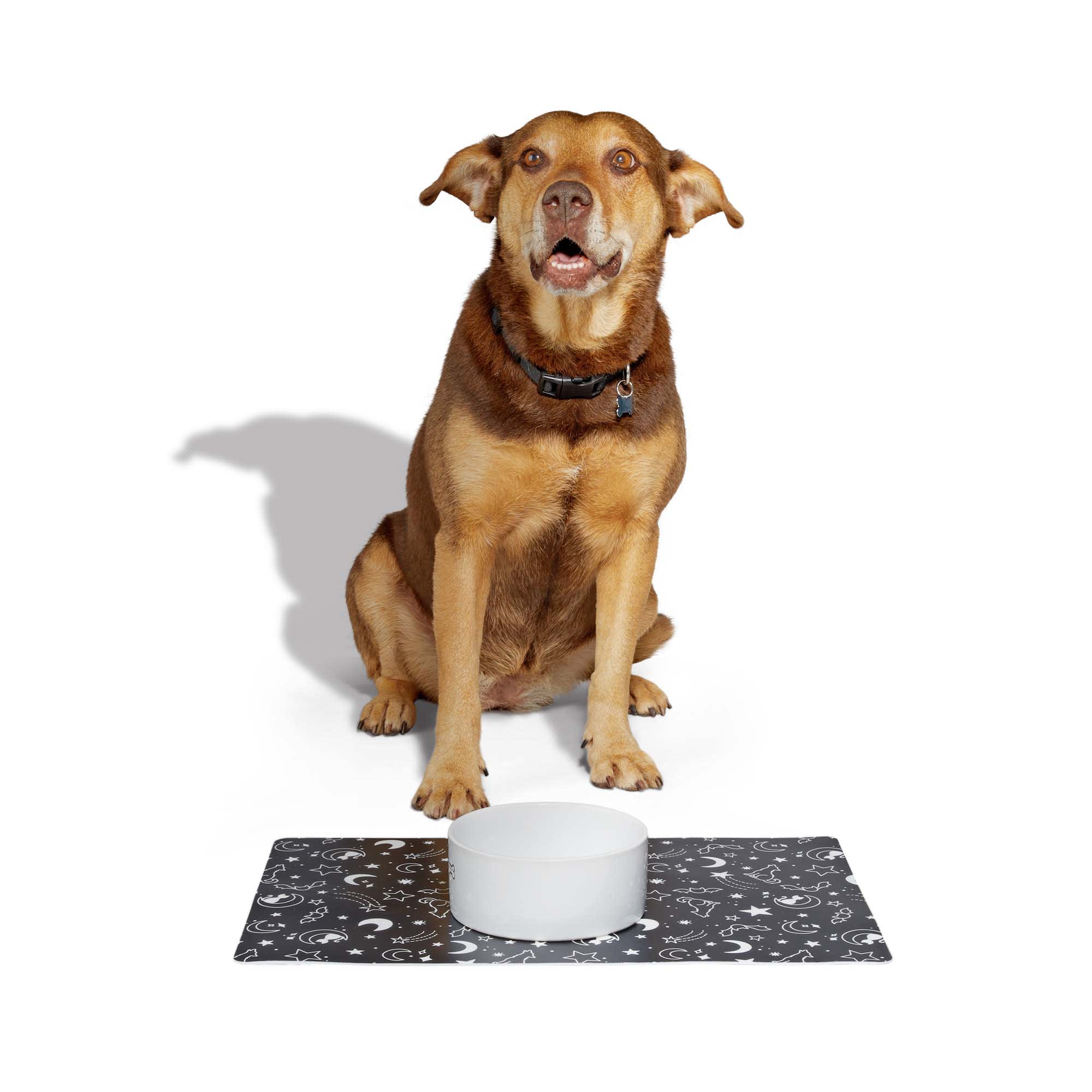 Wild One Silicone Black Dog Placemat | Petco