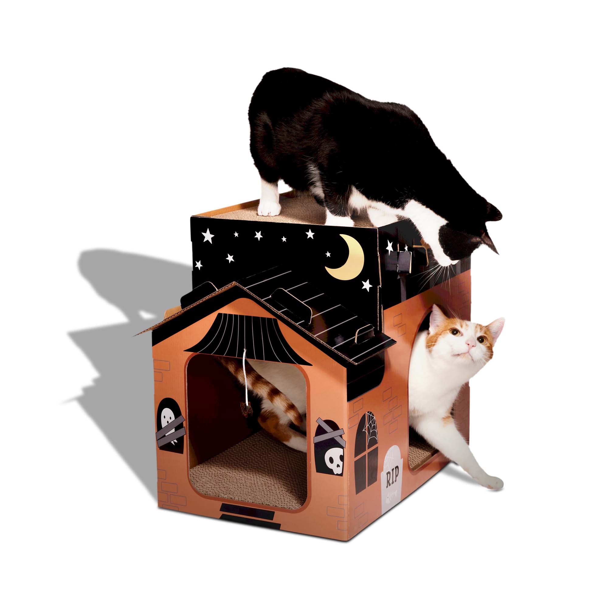 Halloween cat 2025 house scratcher