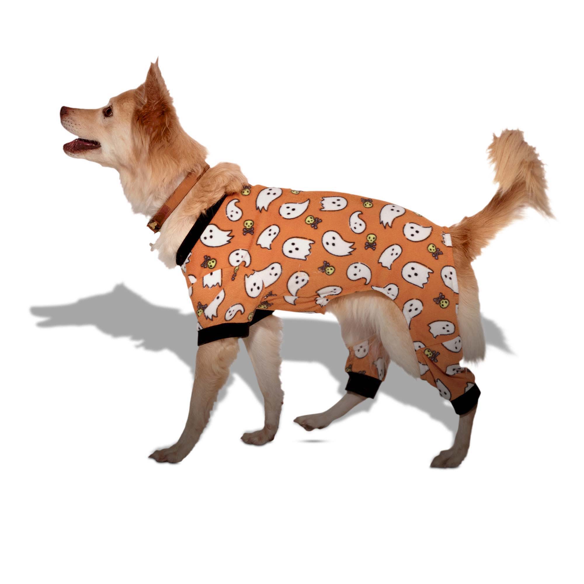 Petco pajamas hot sale