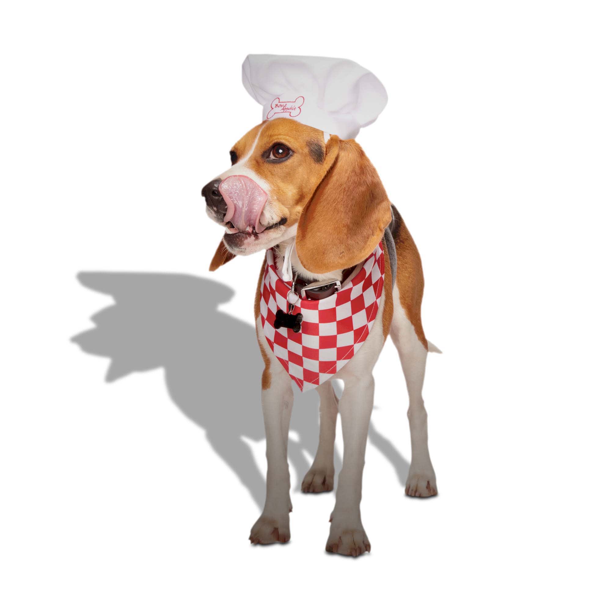 Bootique Chef 2 piece Headpiece for Dogs Cats Small Medium